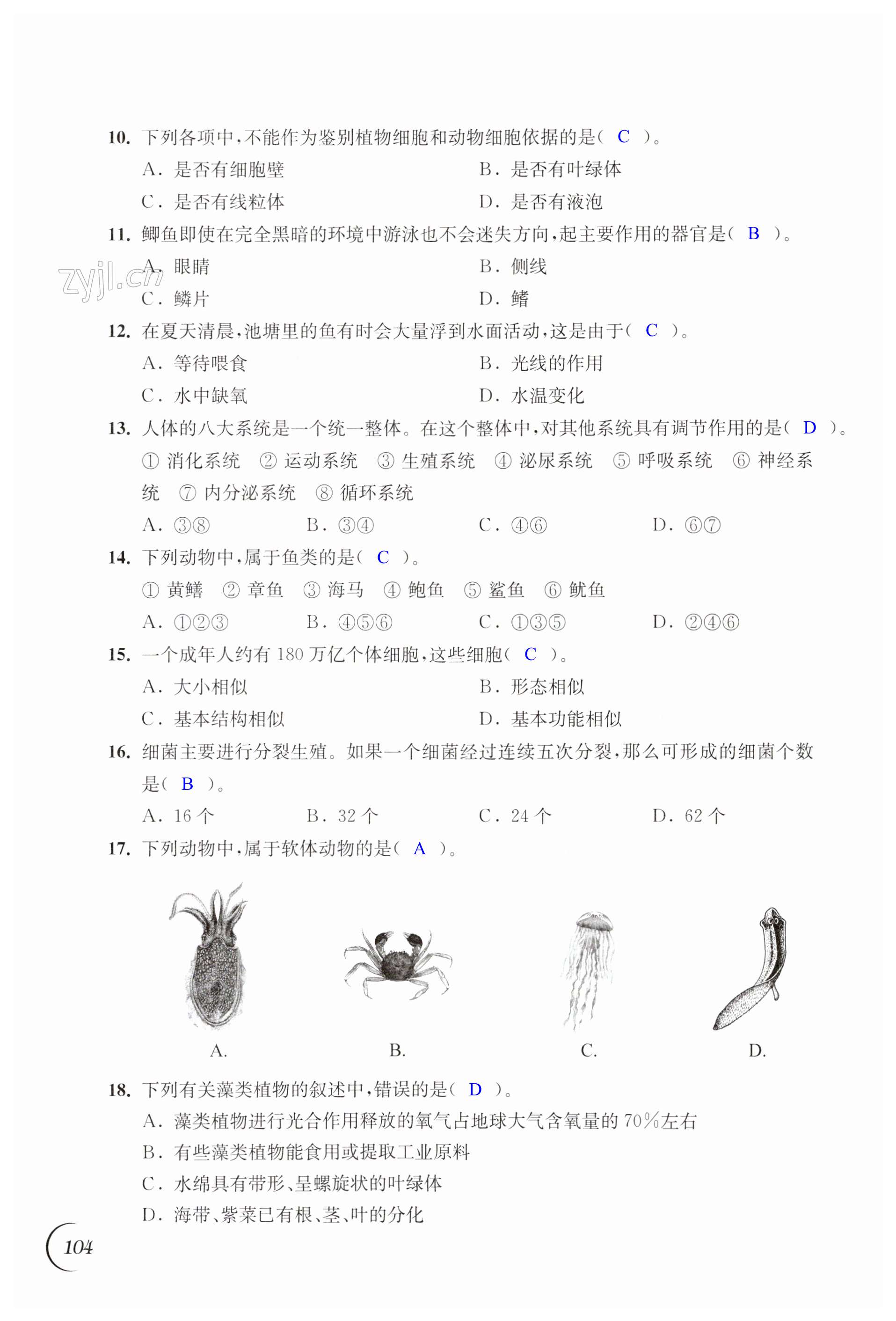 第104页