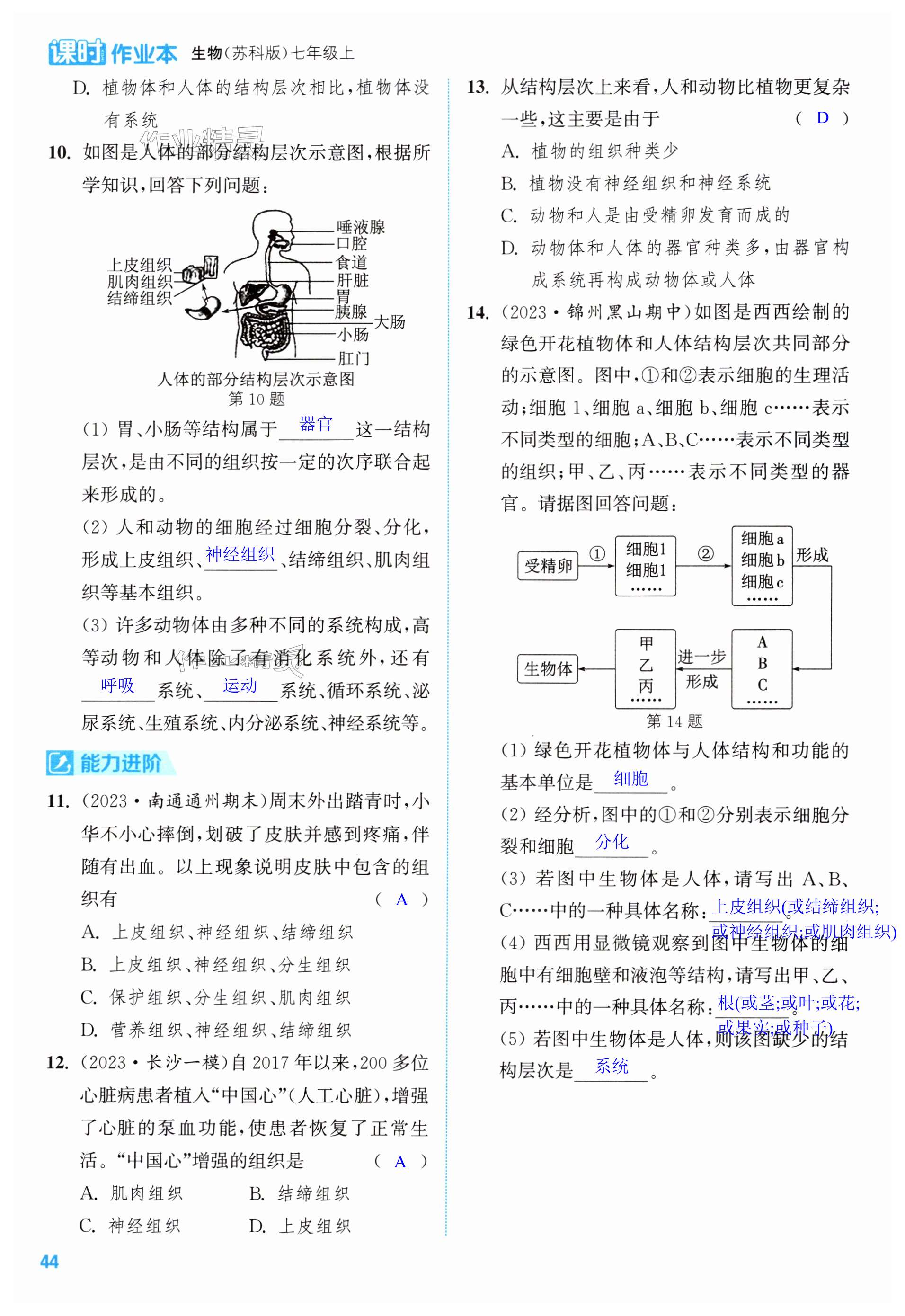 第44页