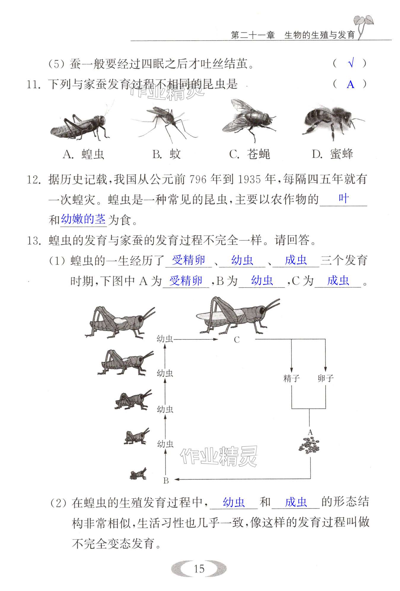 第15页