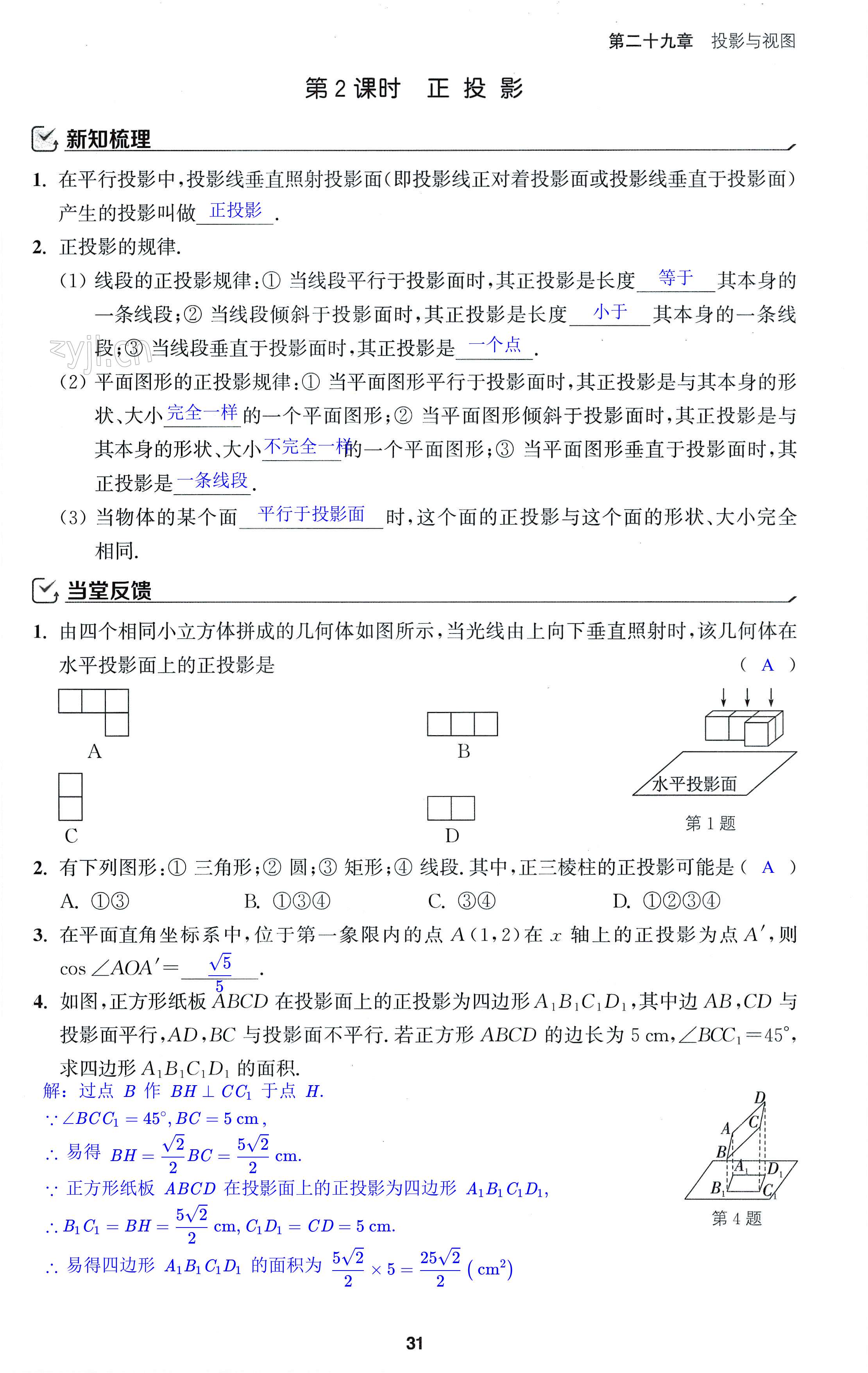 第31页