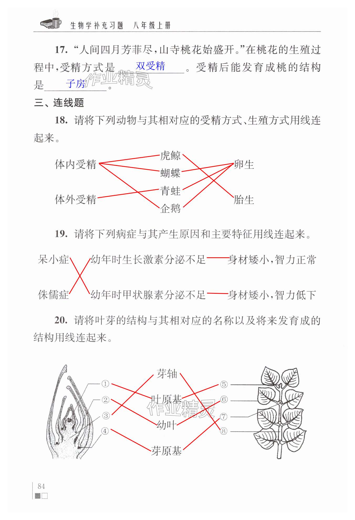 第84页