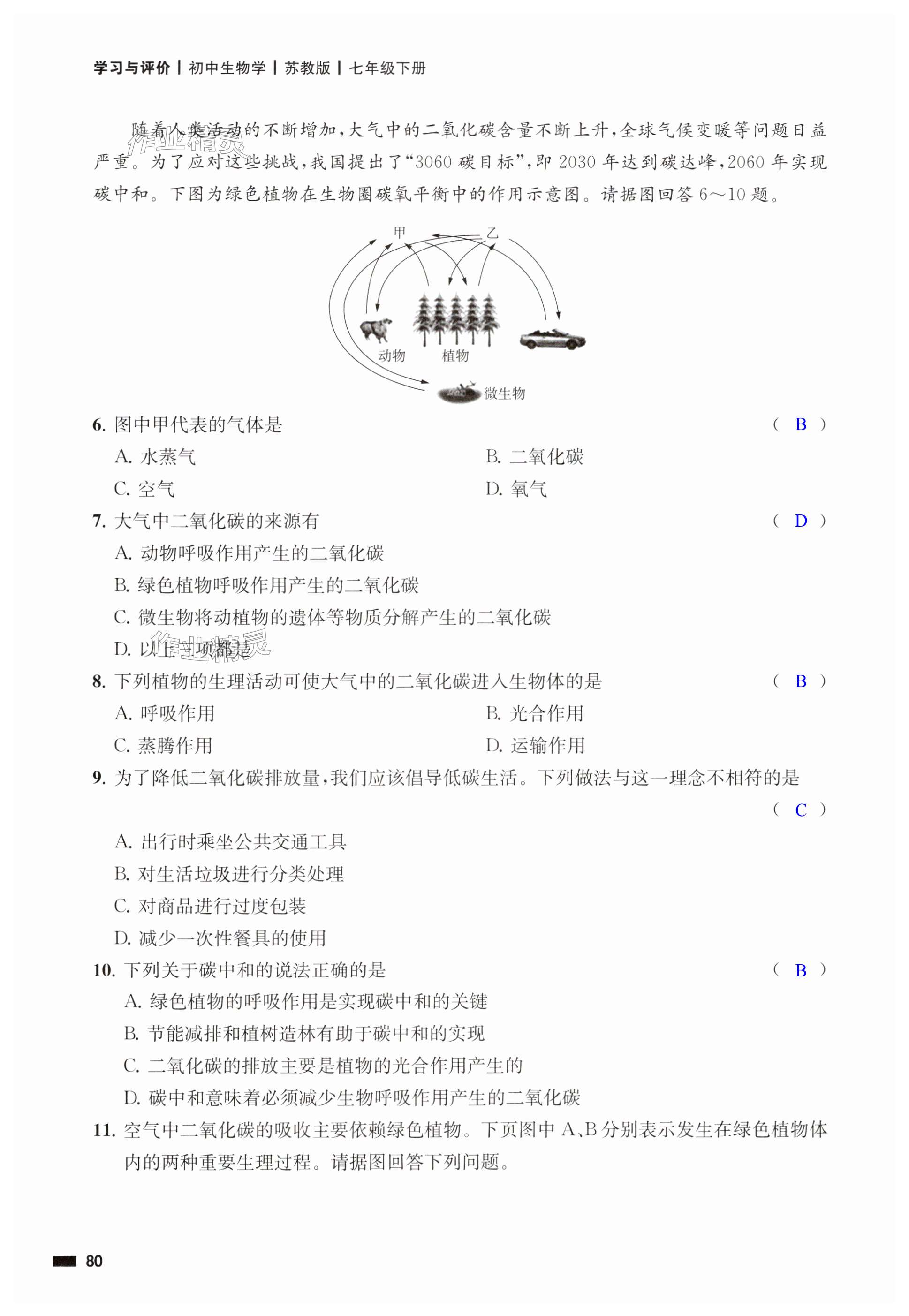 第80页