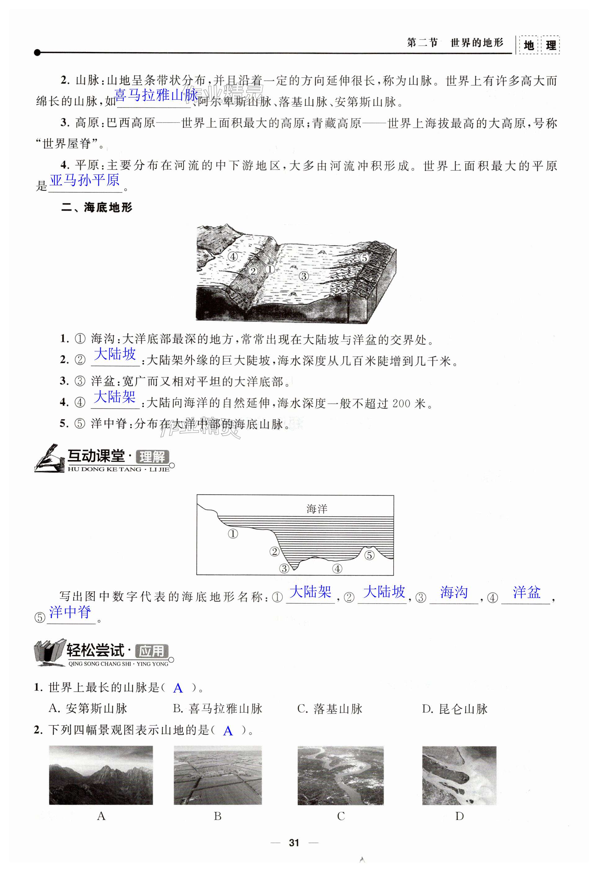 第31页