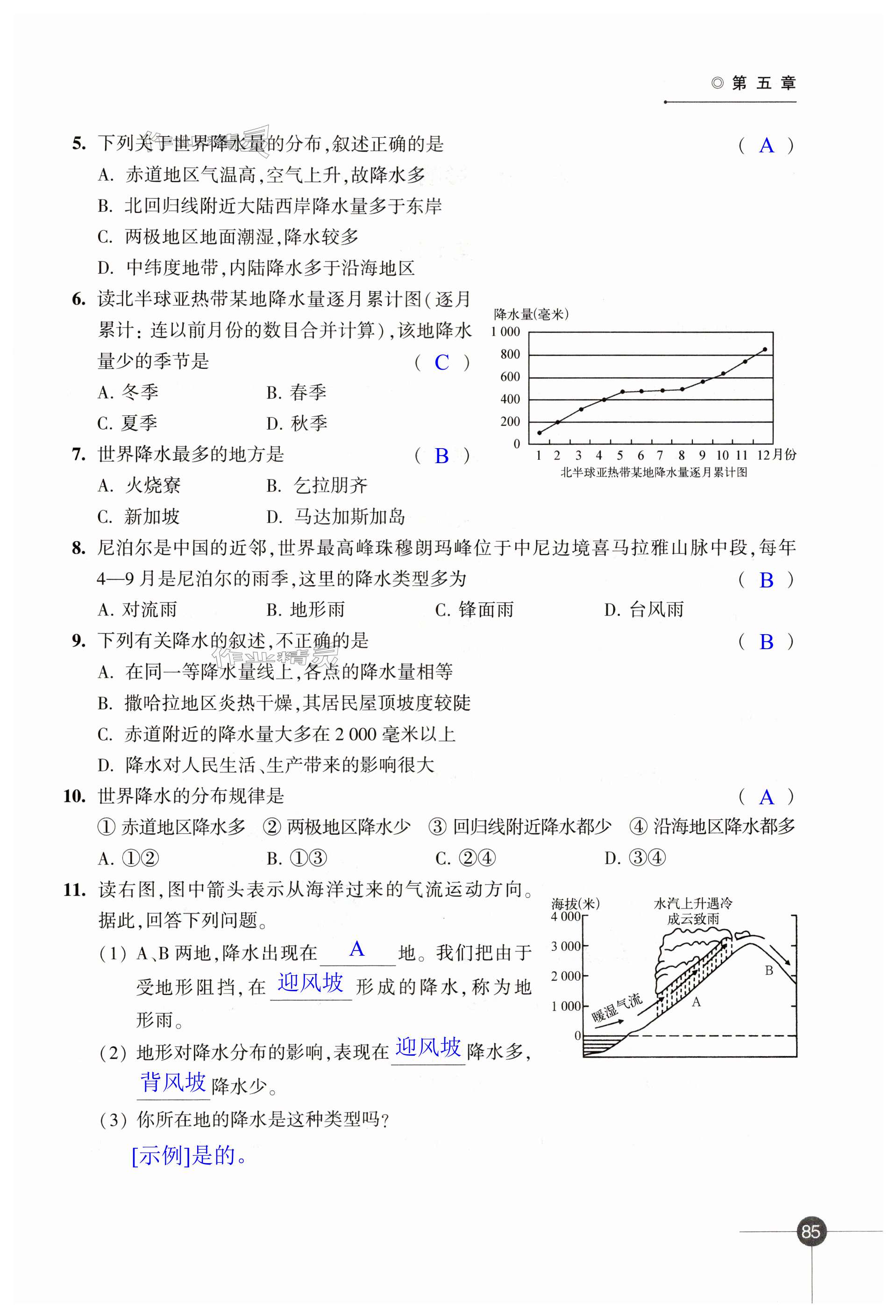 第85页