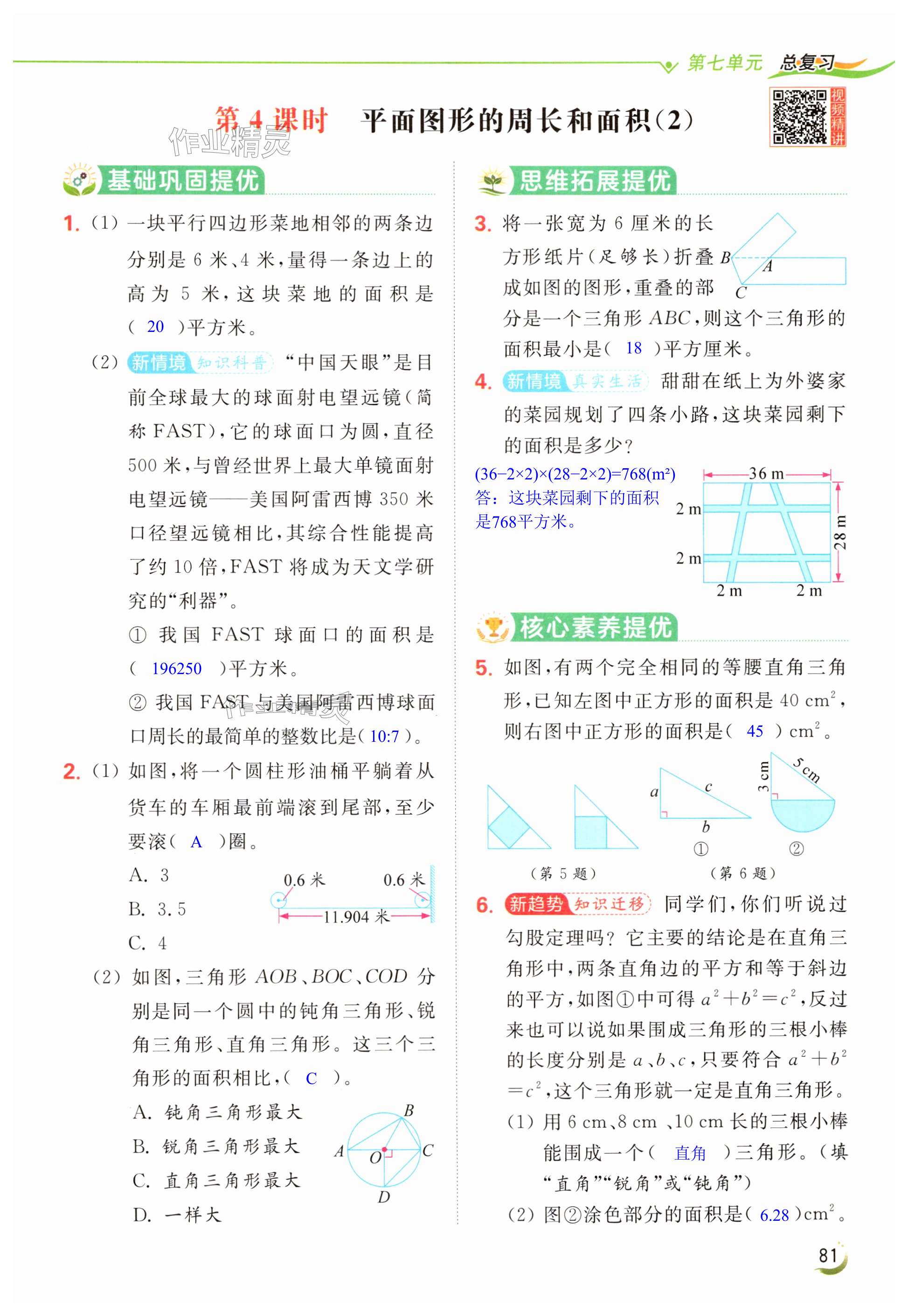 第81页