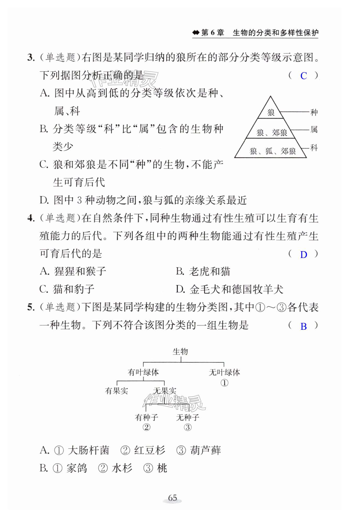 第65页