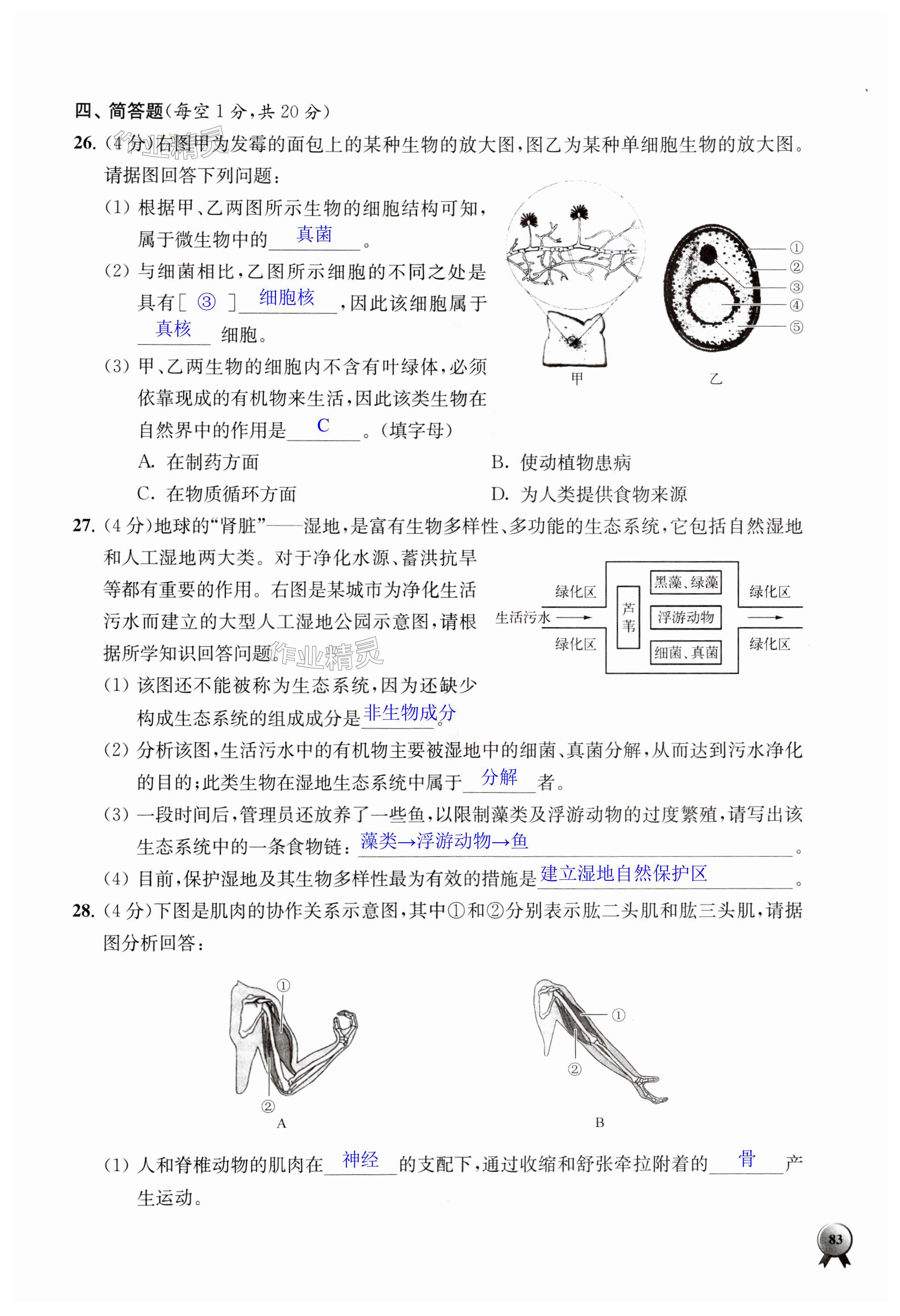 第83页