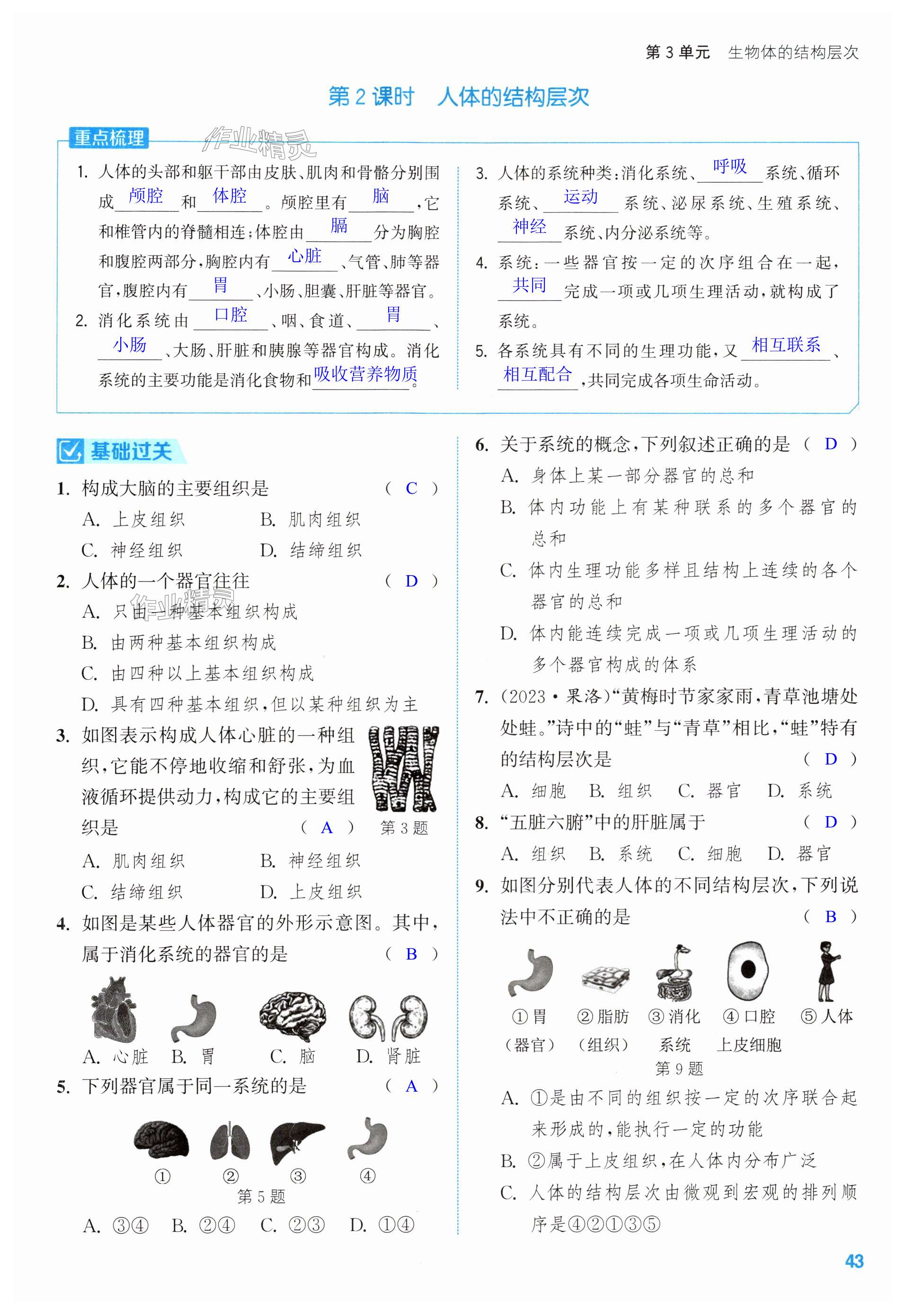 第43页