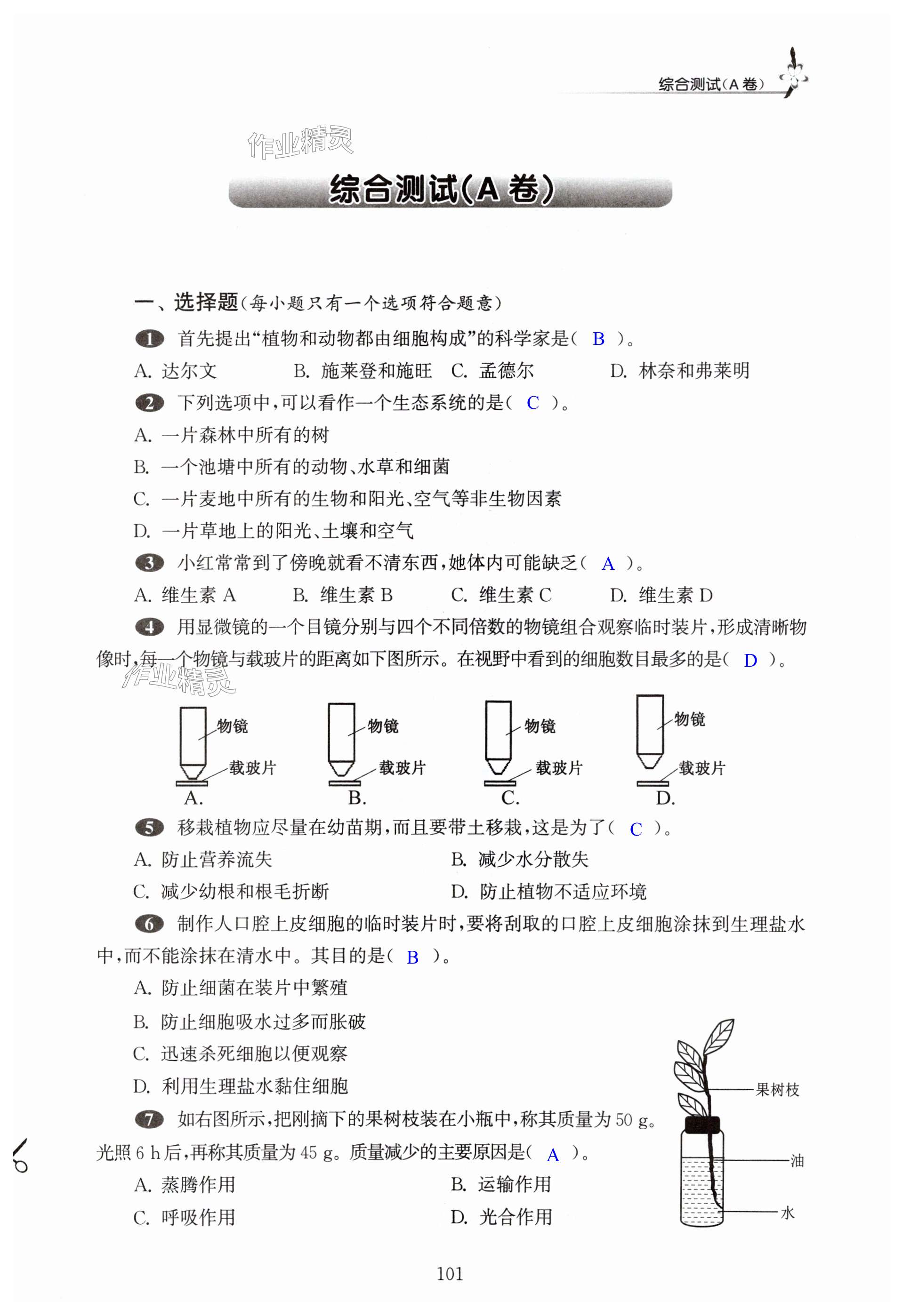 第101页