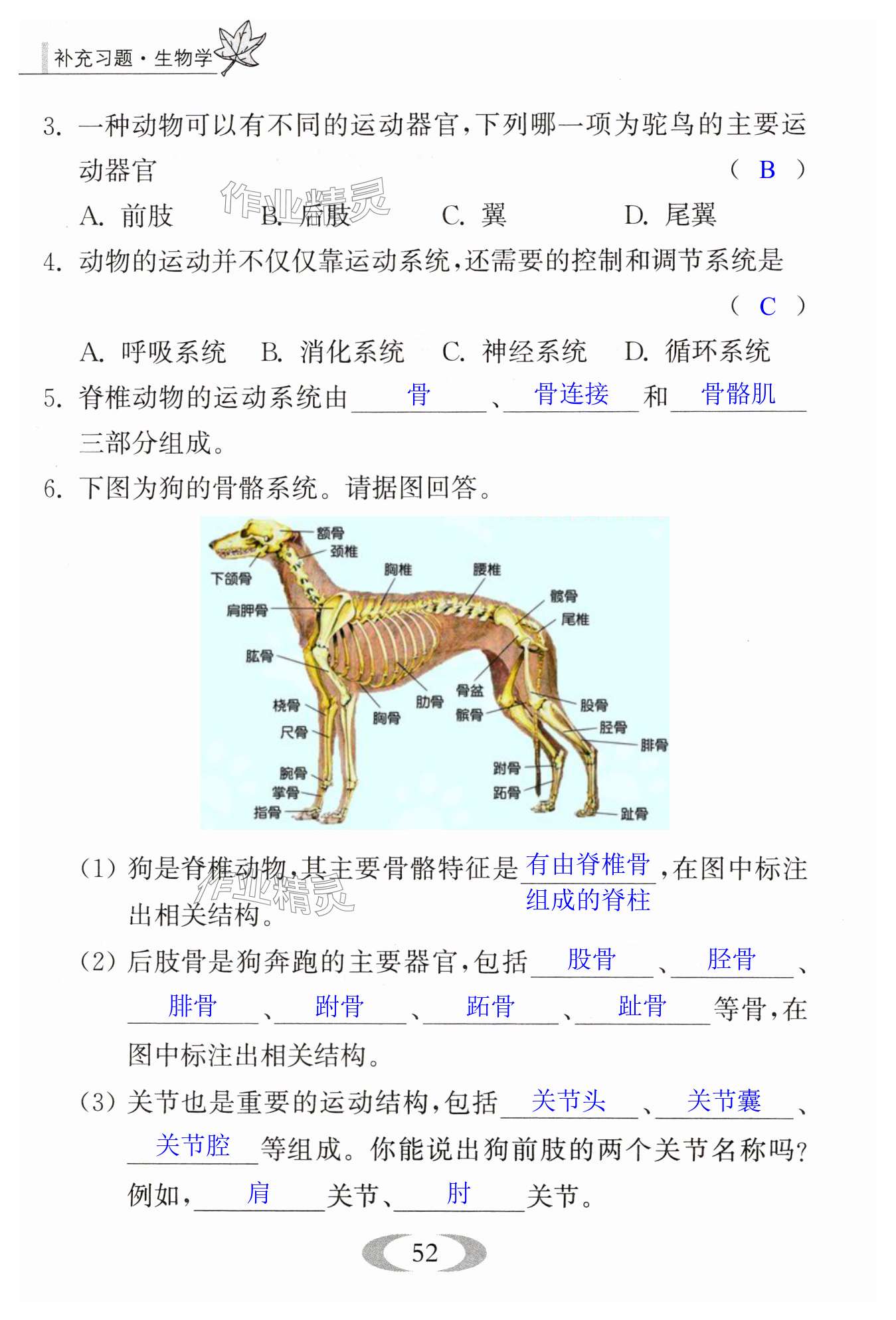 第52页