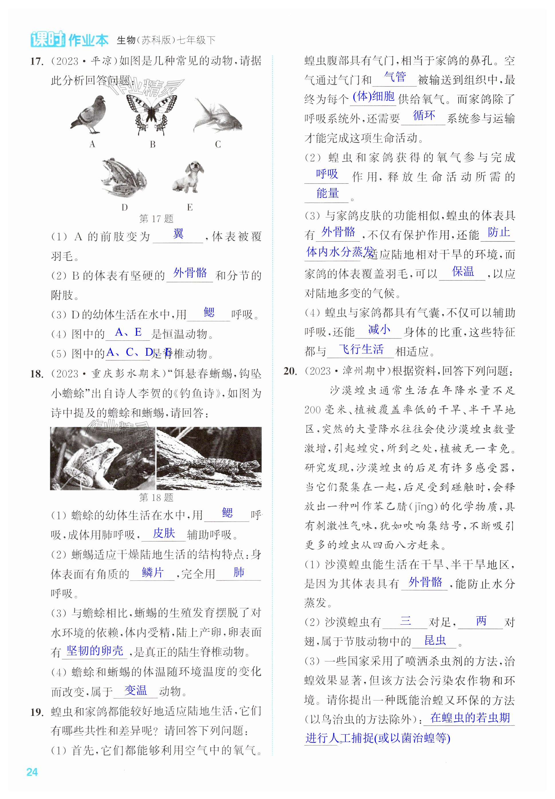 第24页