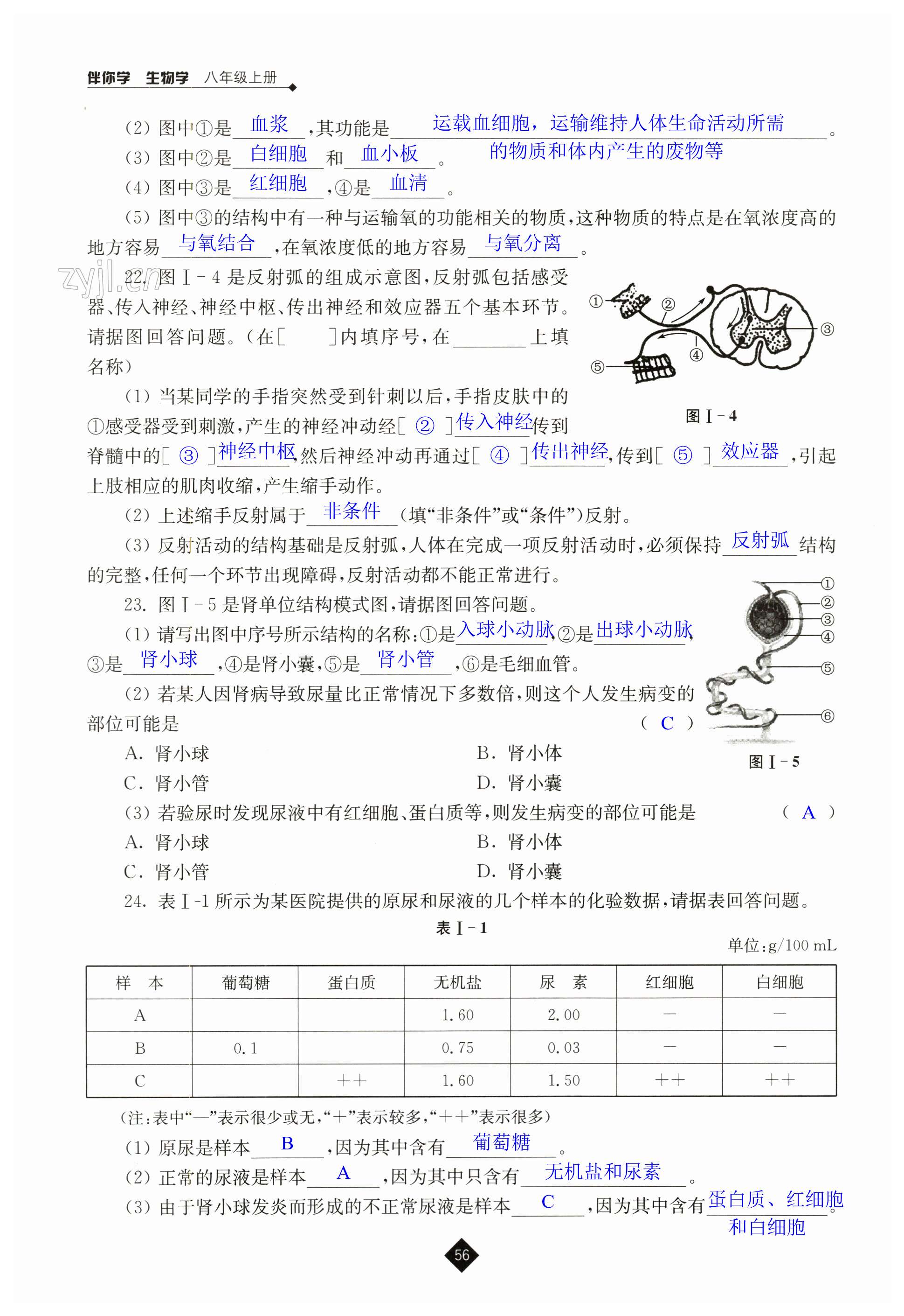 第56页