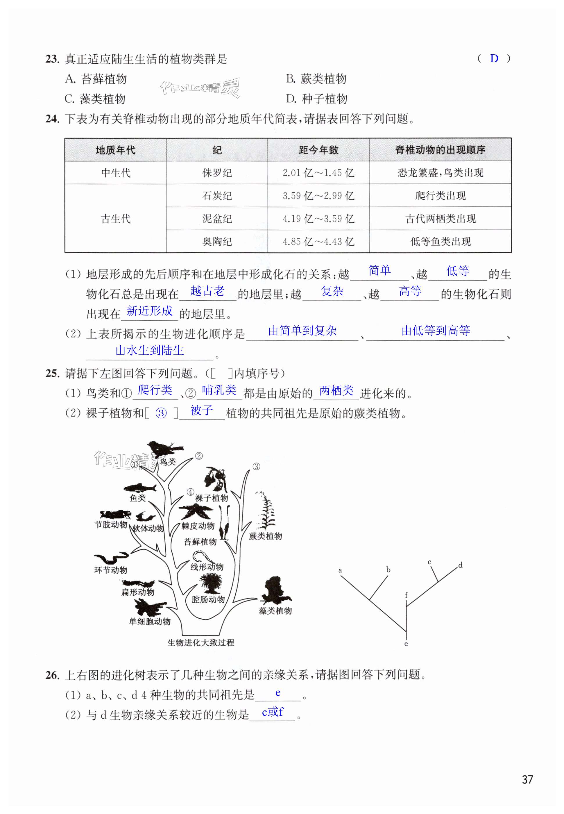 第37页