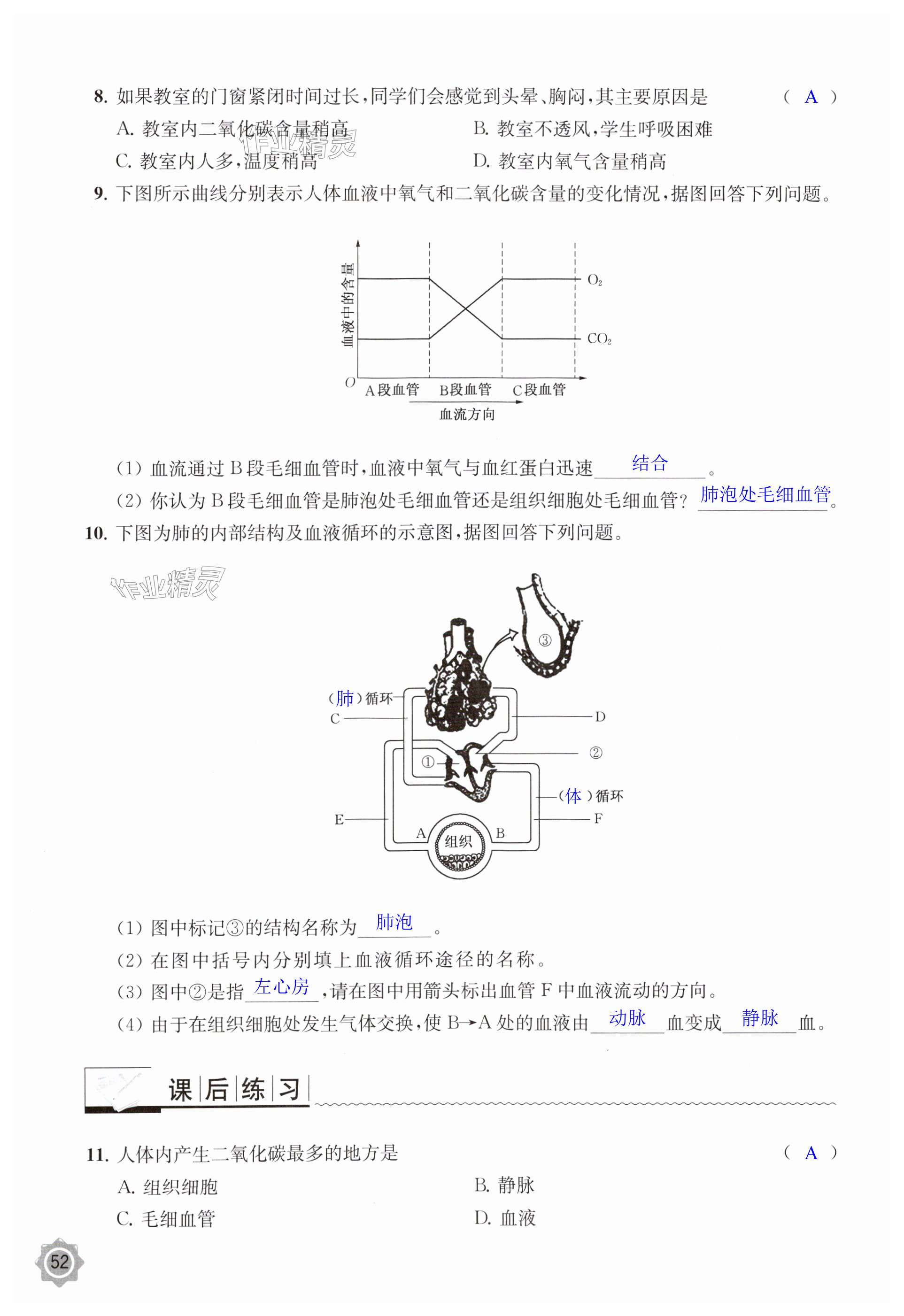 第52页