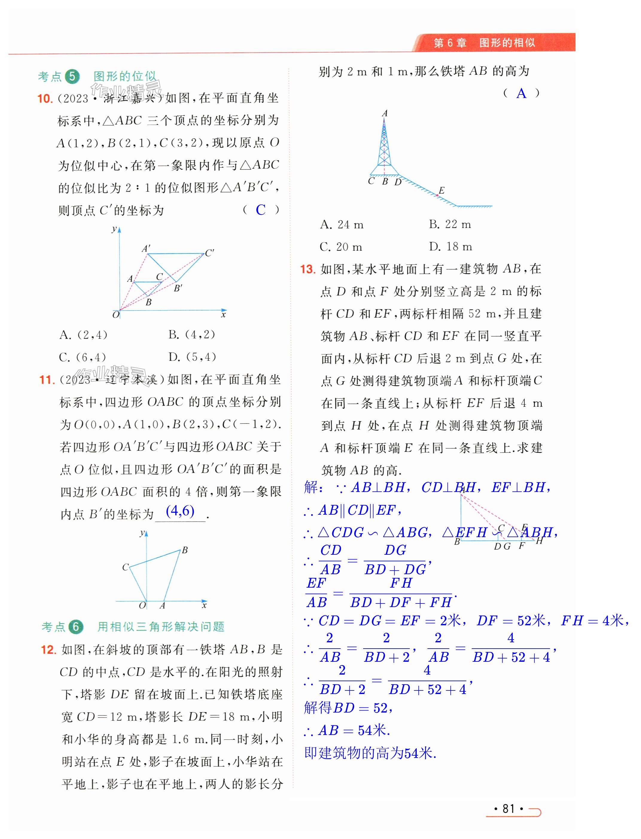 第81页