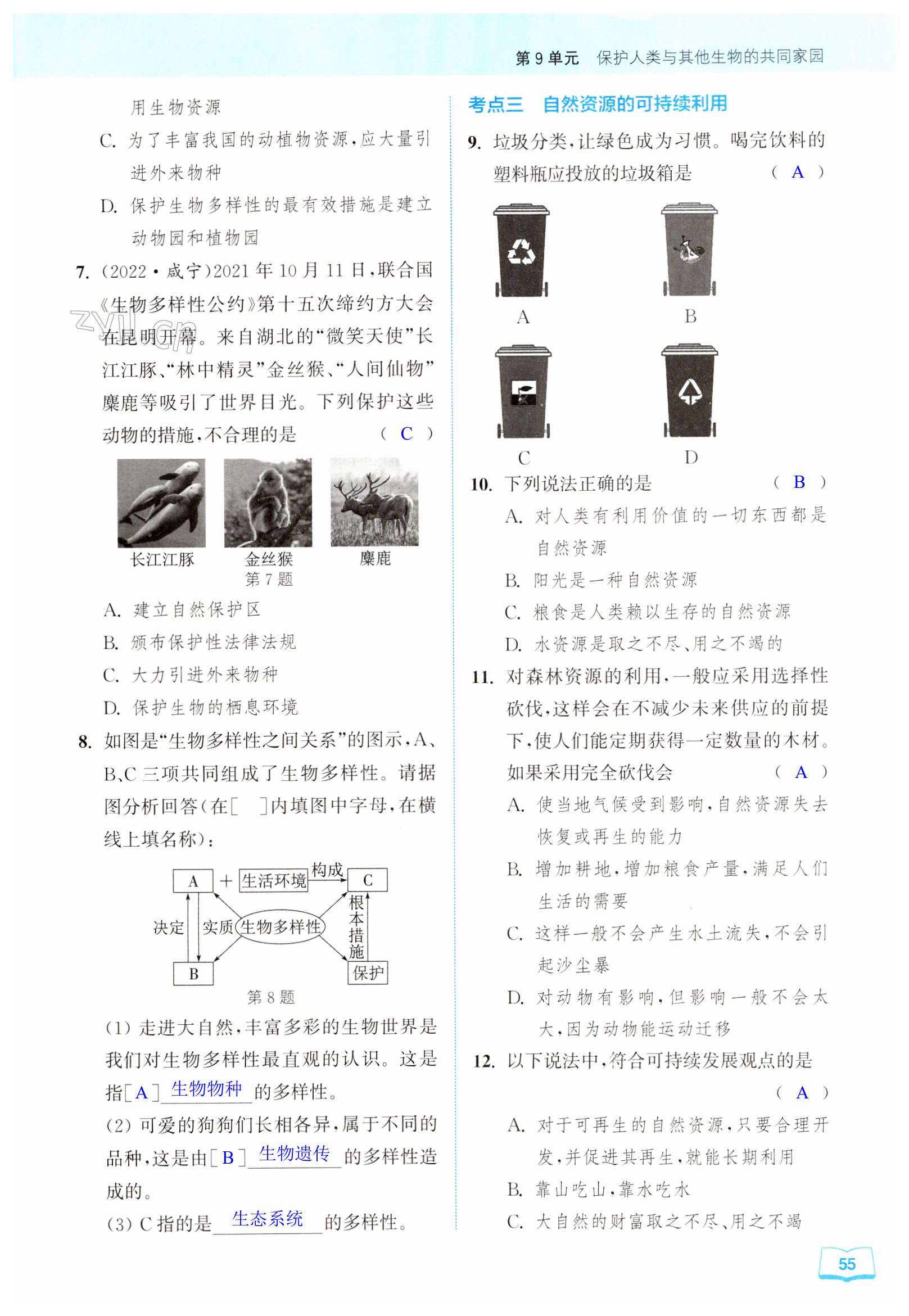 第55页