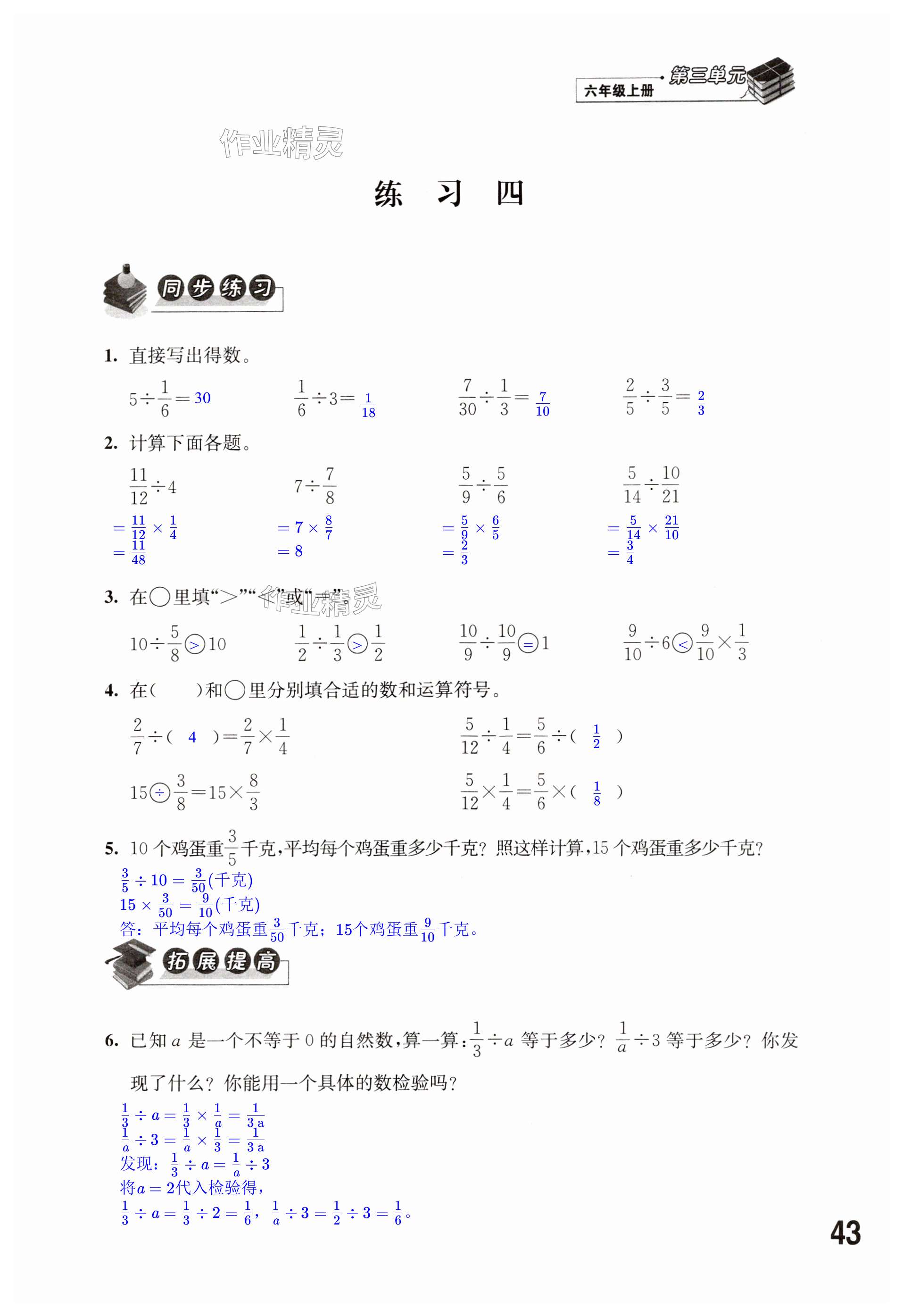 第43页