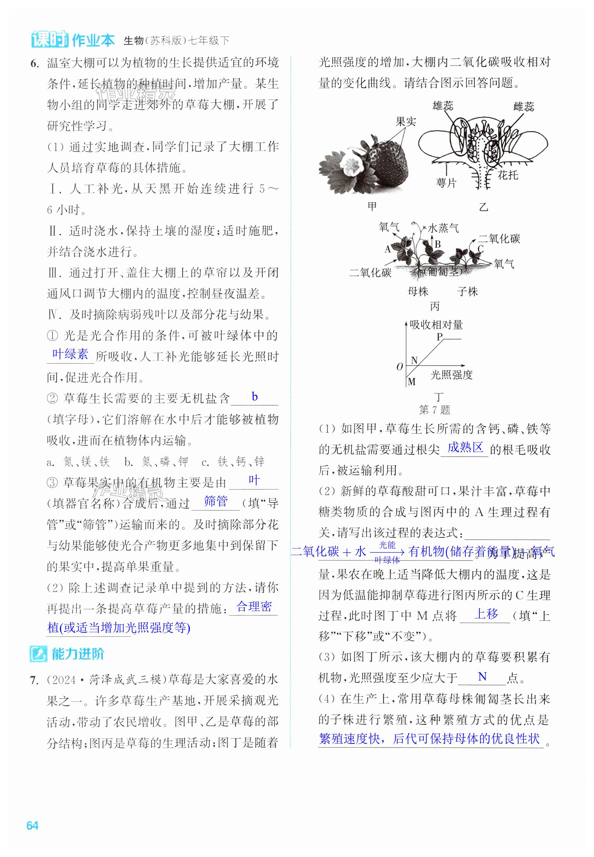 第64页