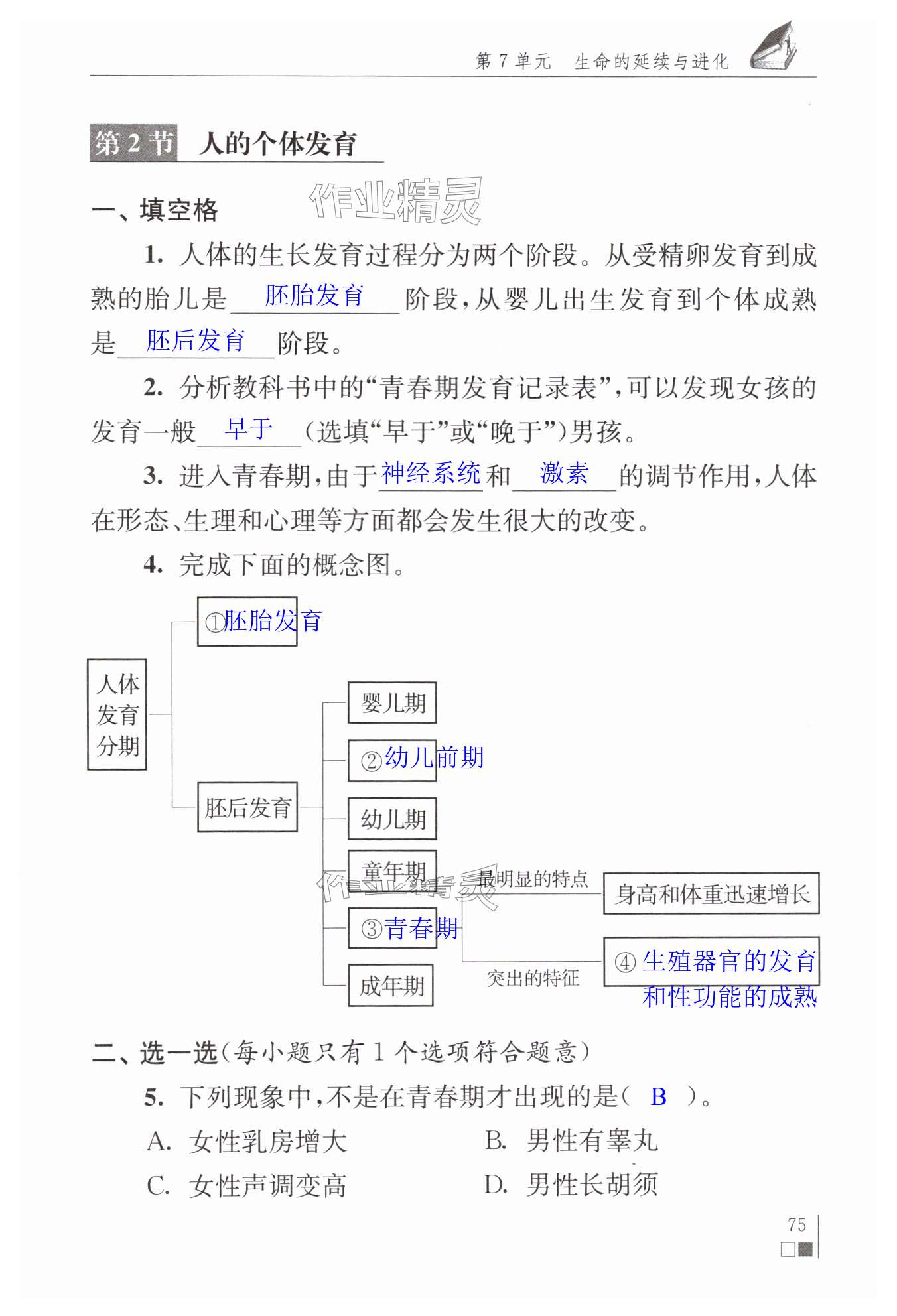 第75页