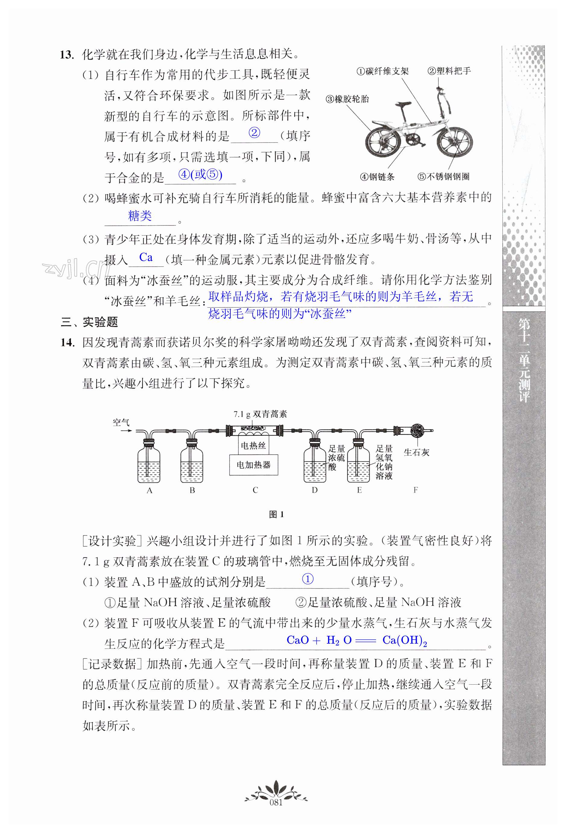第81页