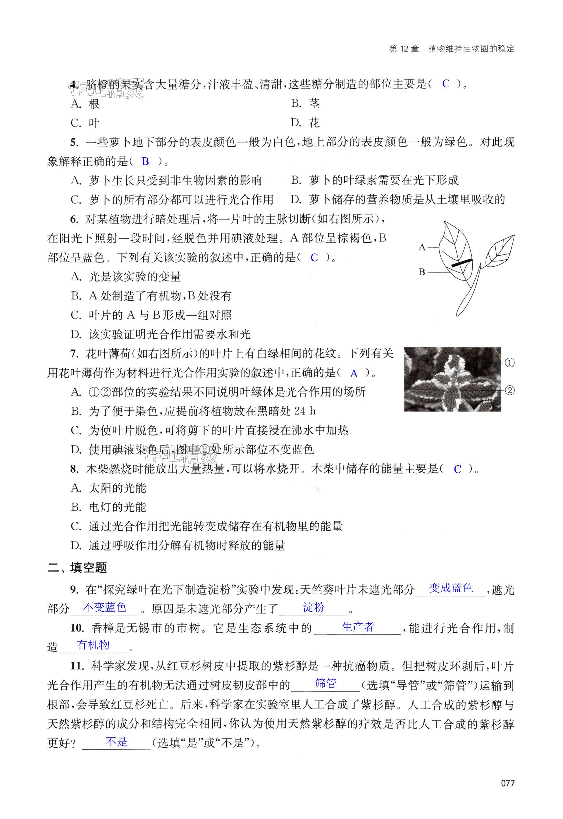 第77页