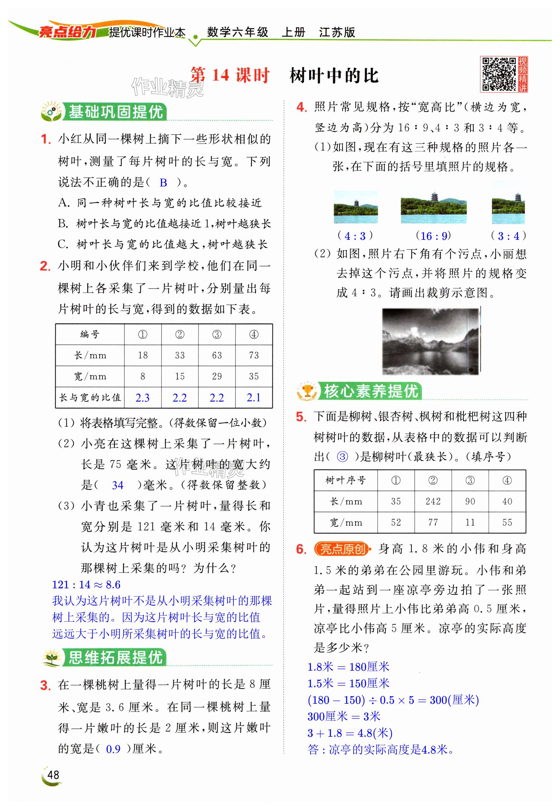 第48页