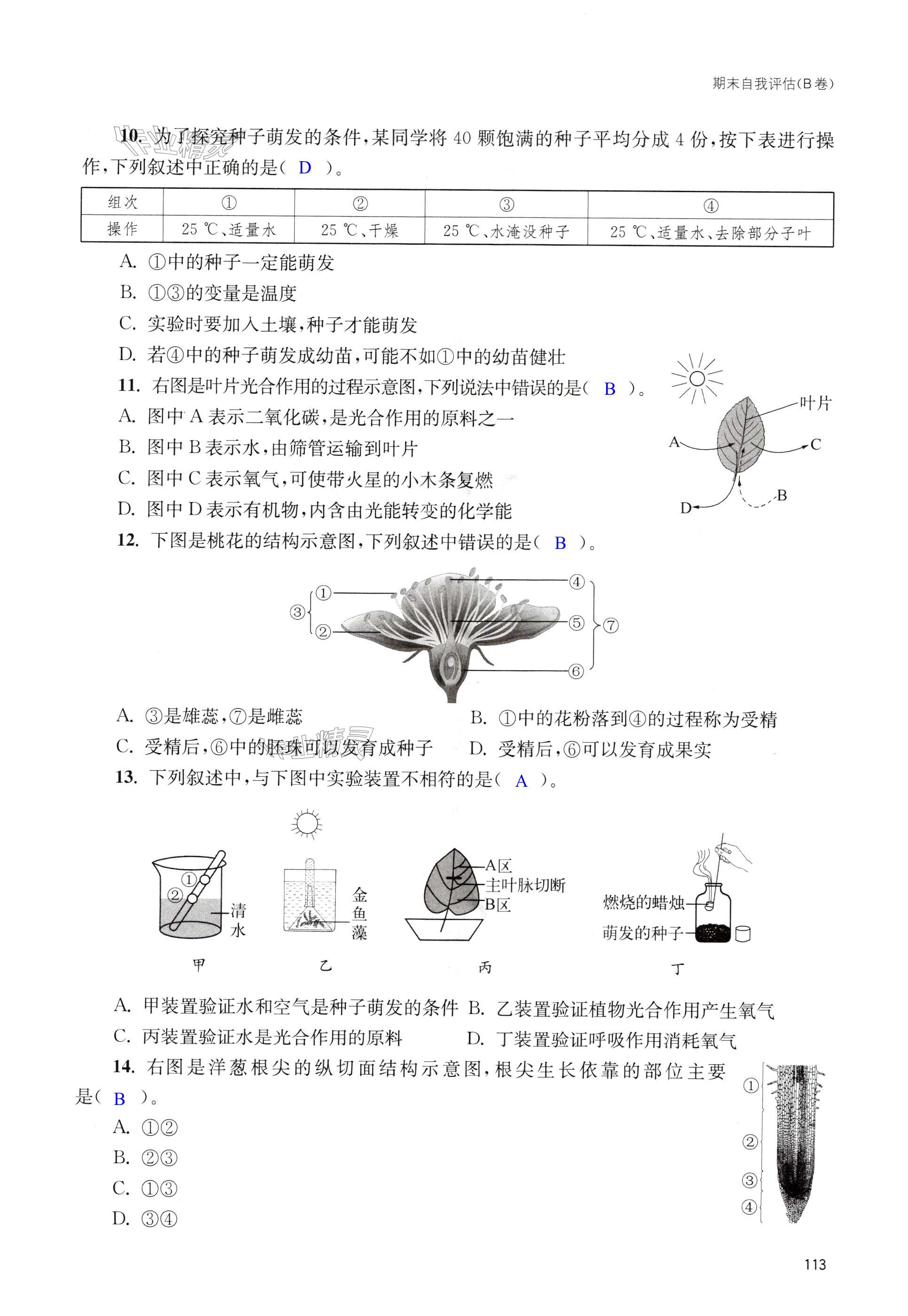 第113页