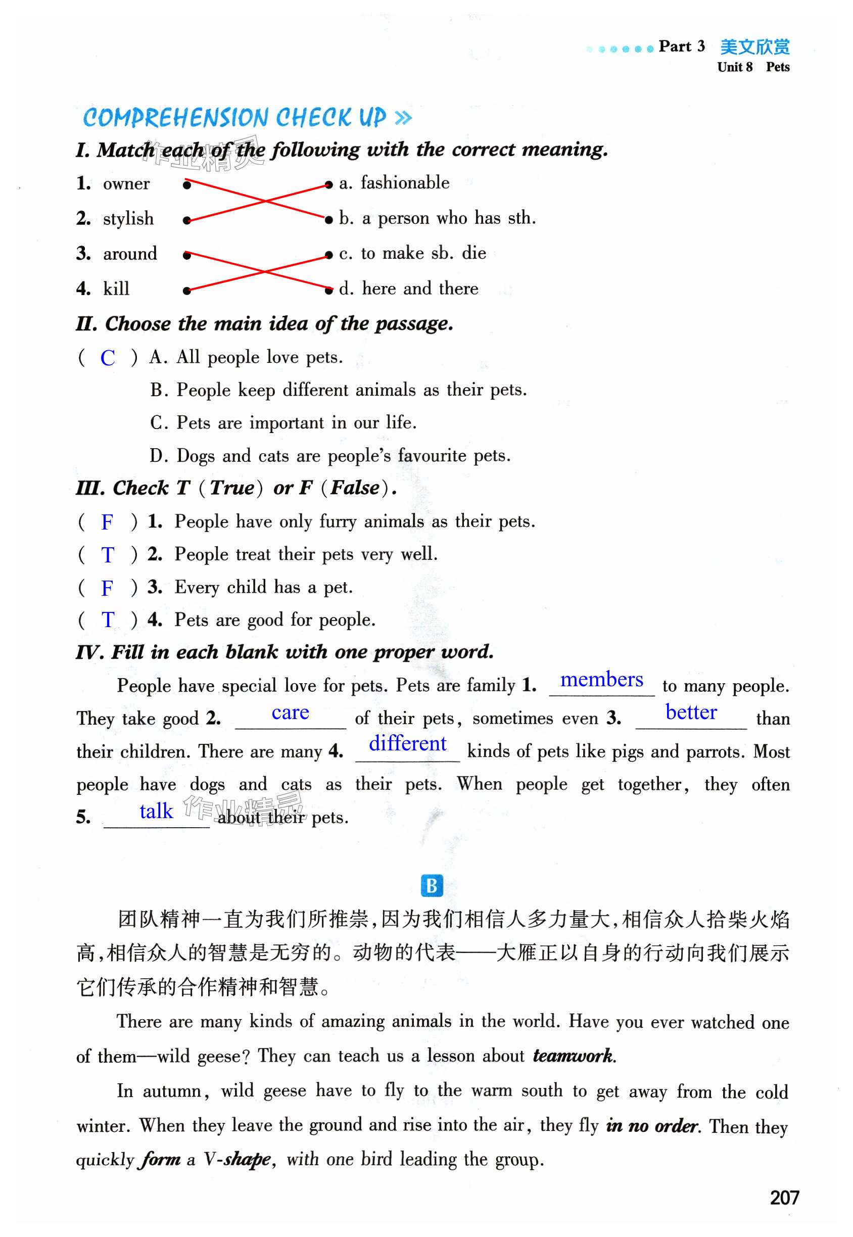 第207页