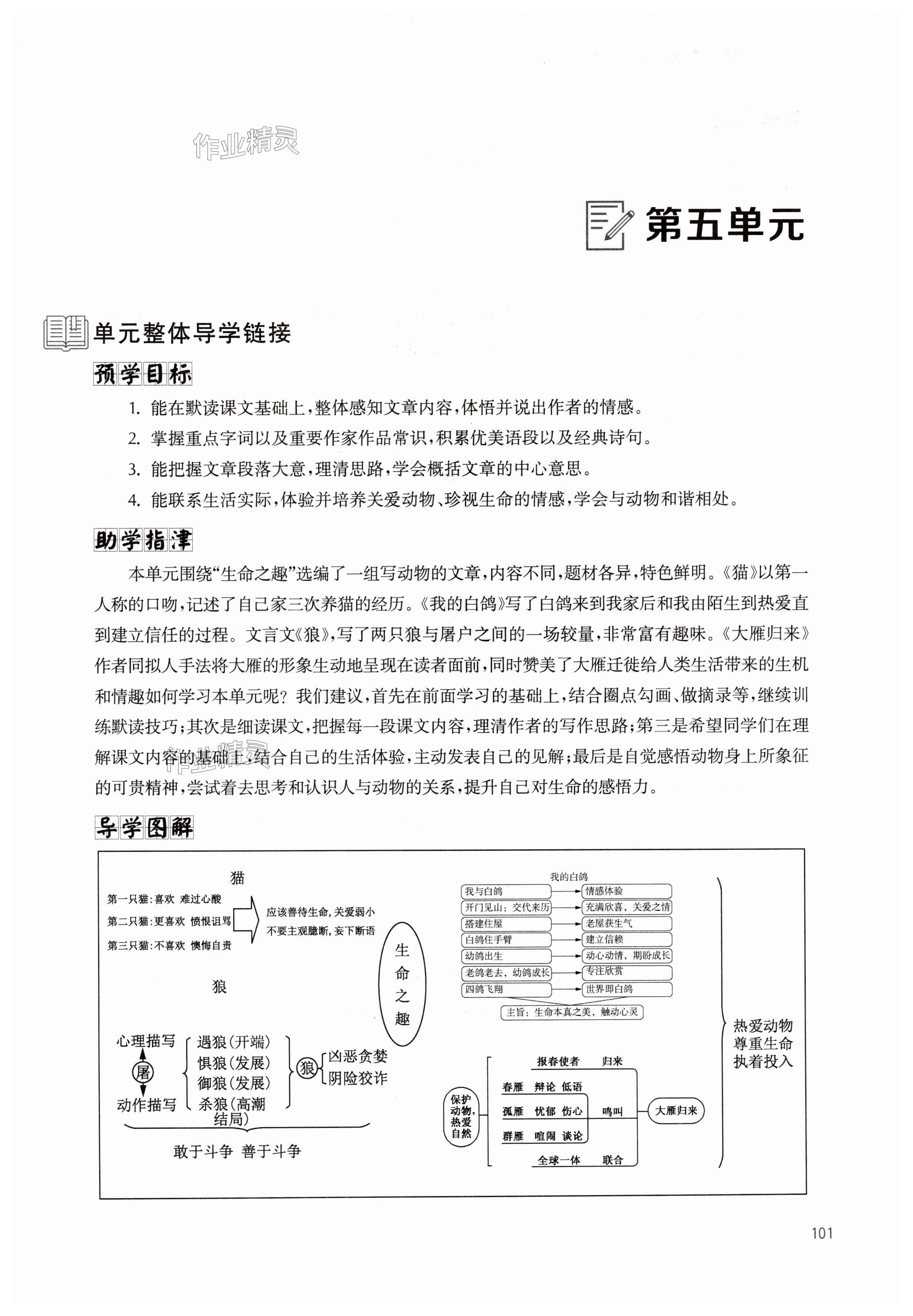 第101页