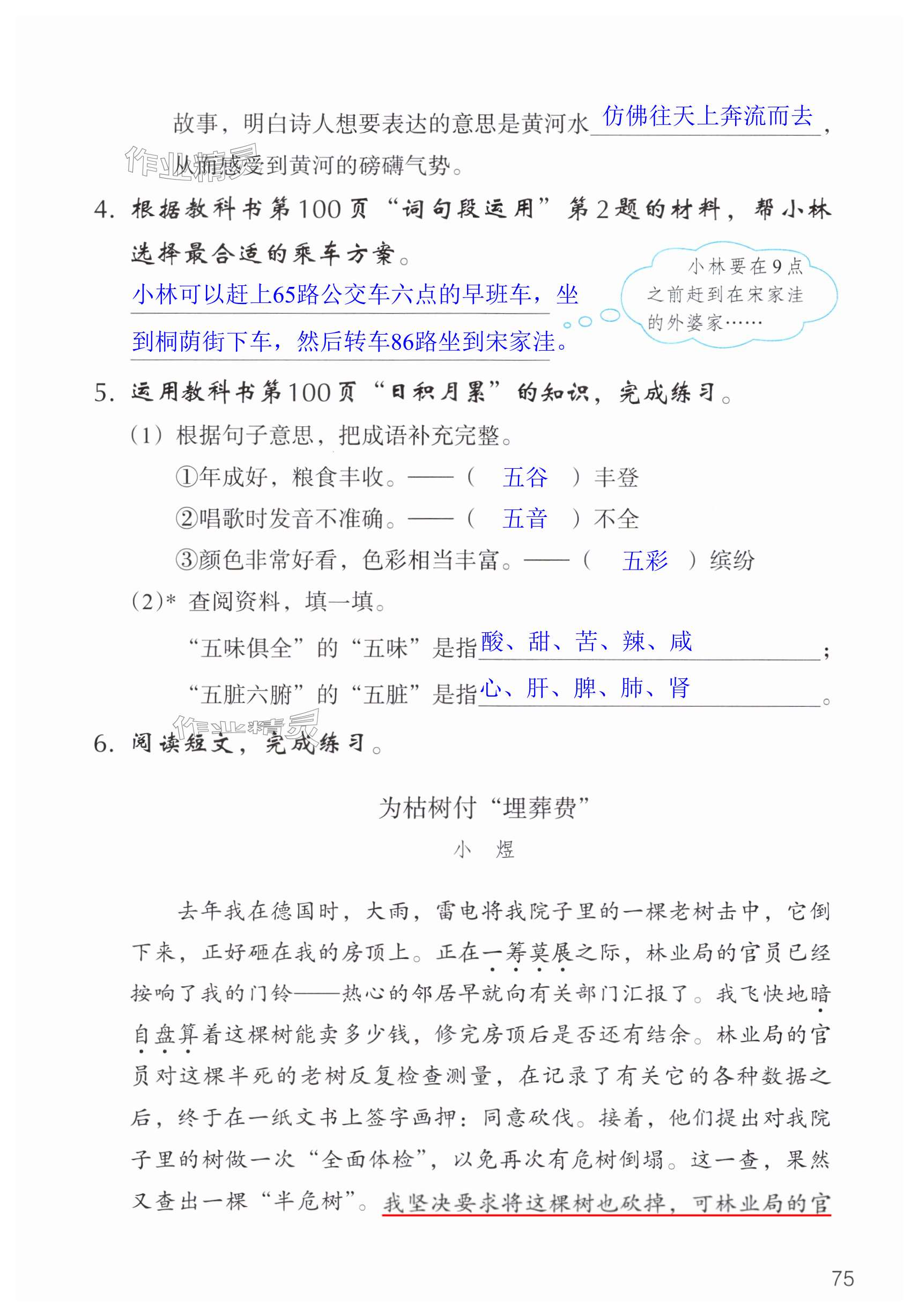 第75页