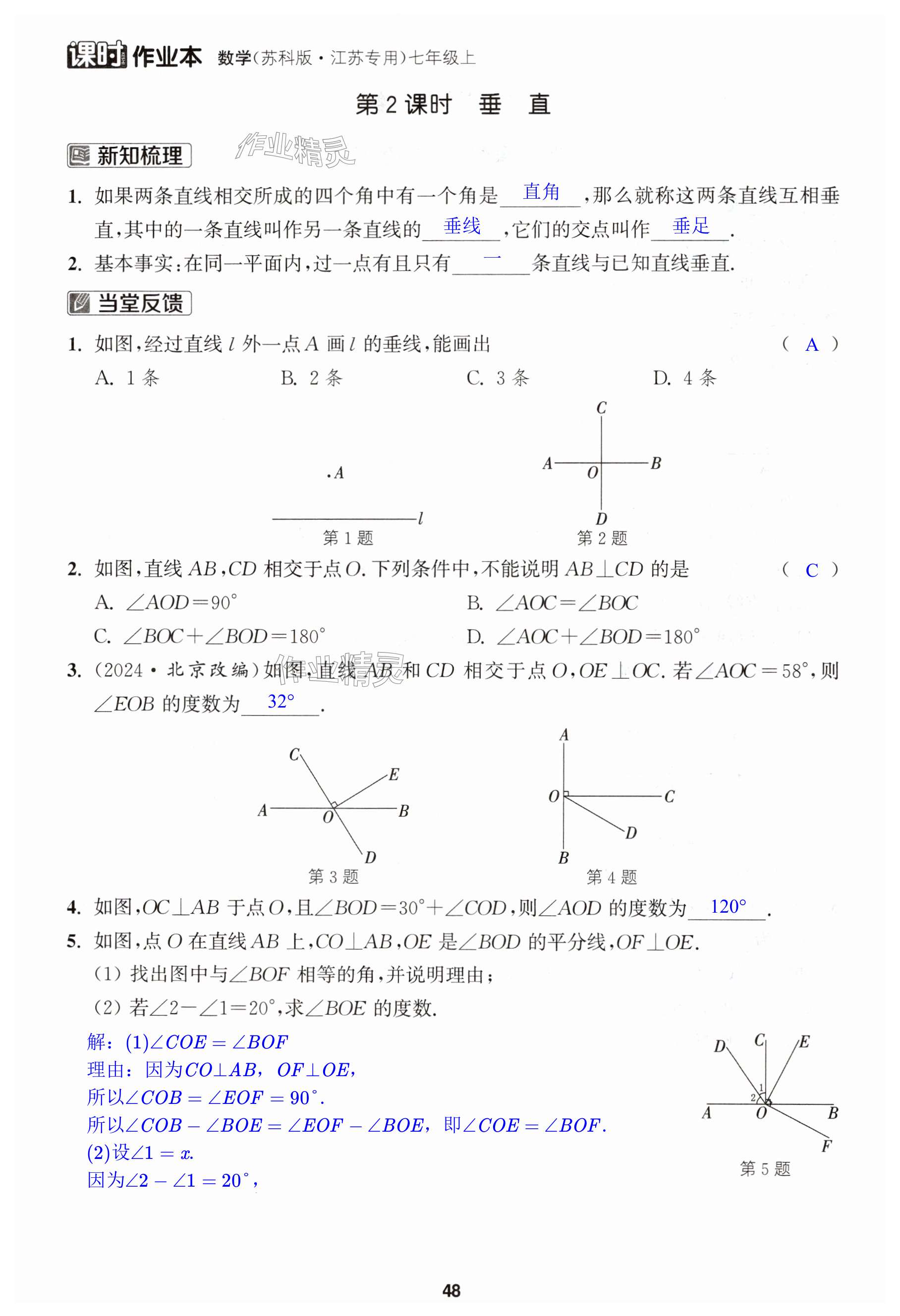 第48页