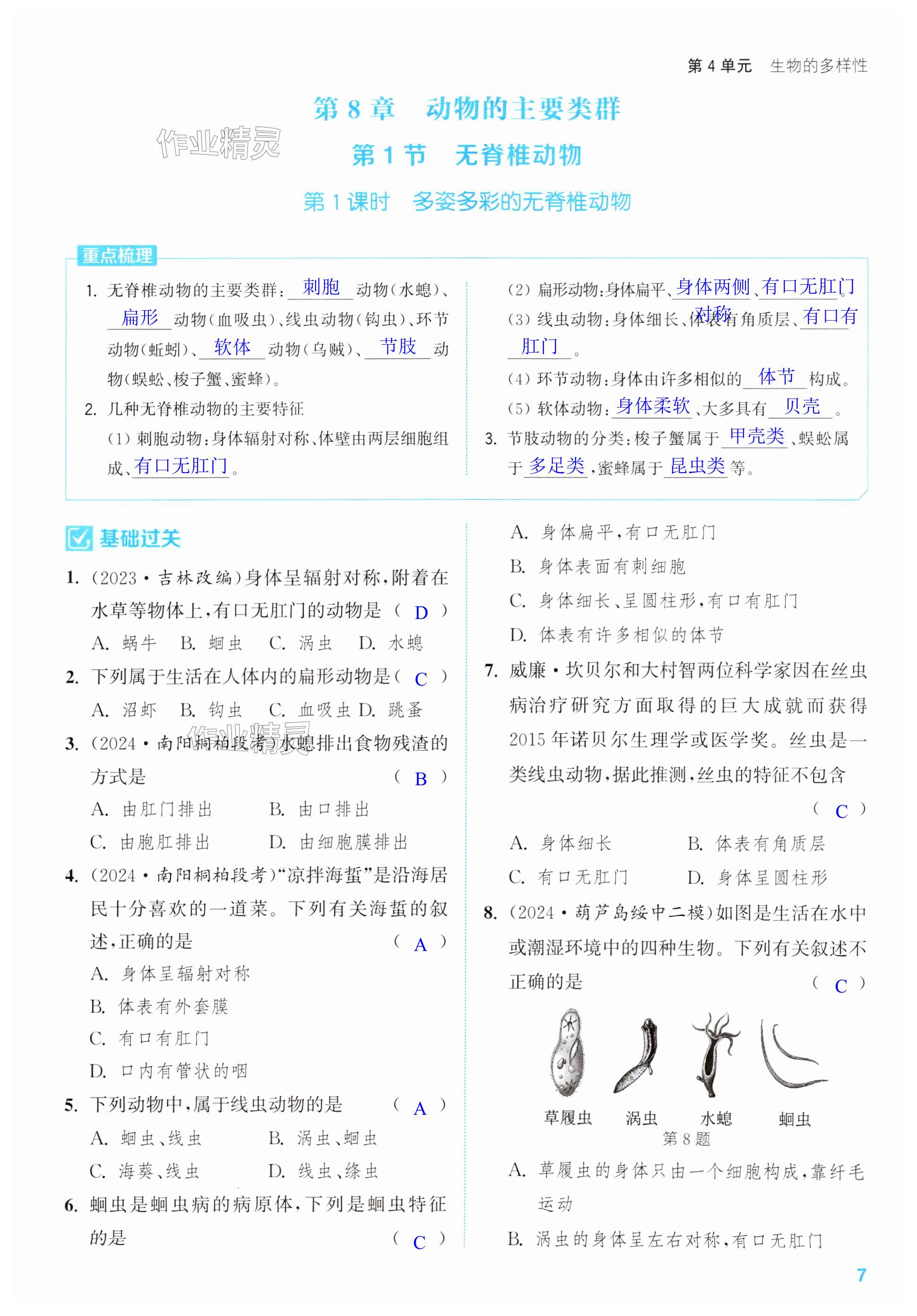 第7页