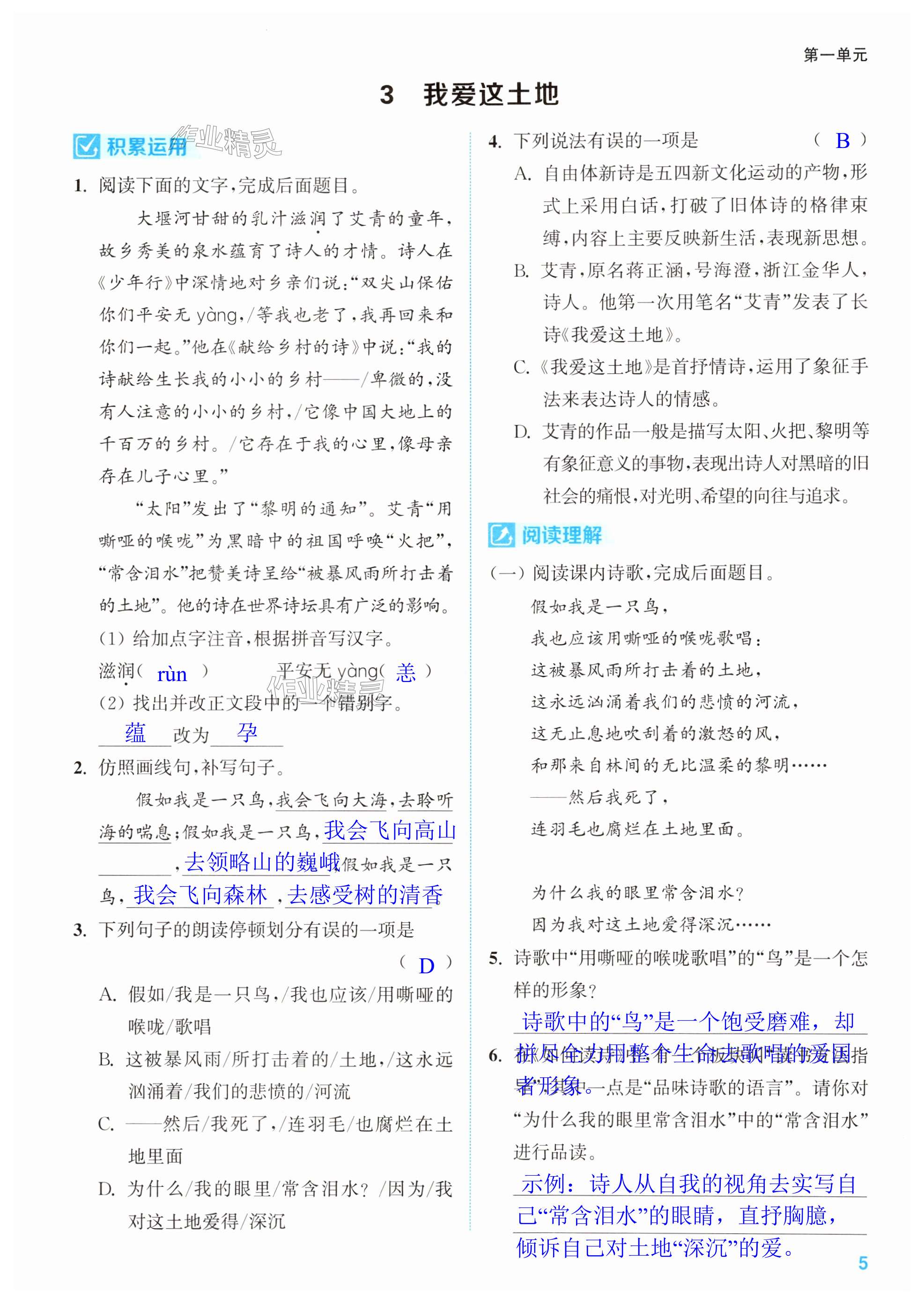 第5页