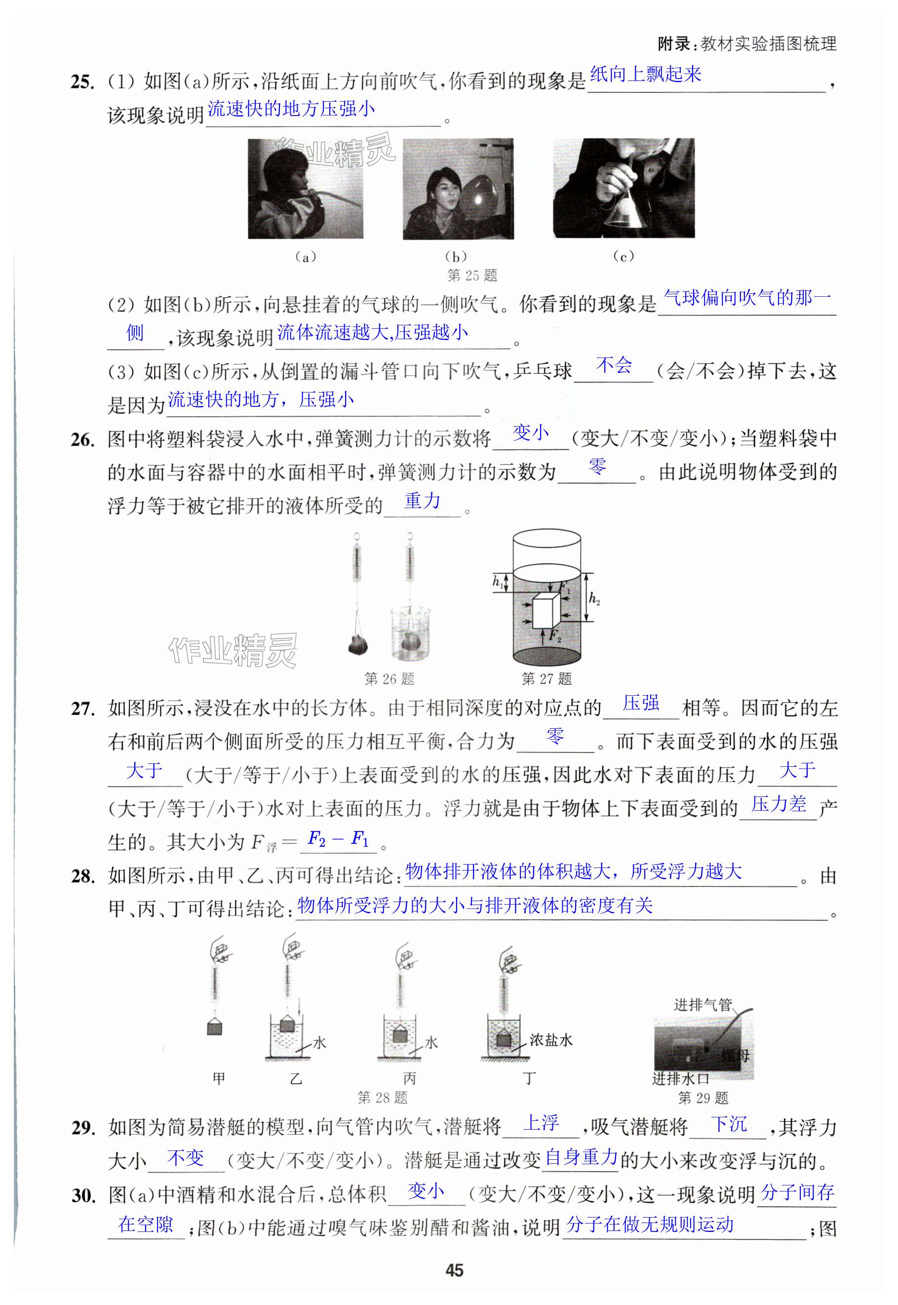 第45页