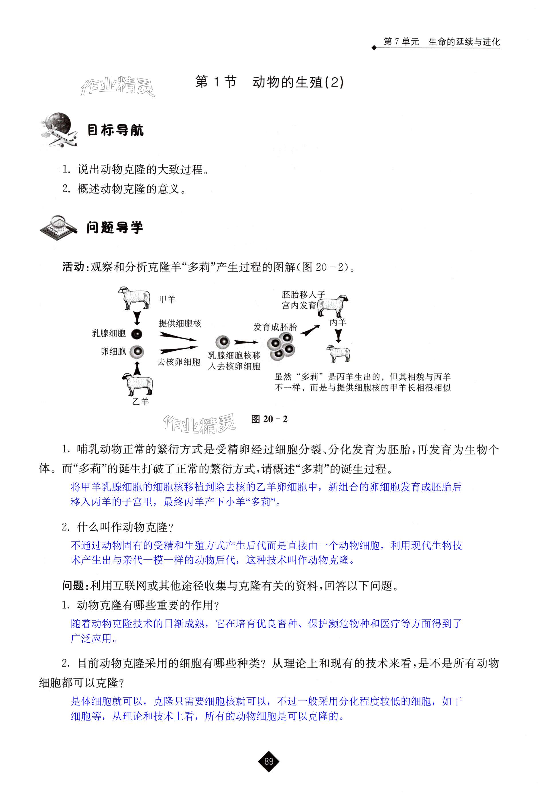 第89页