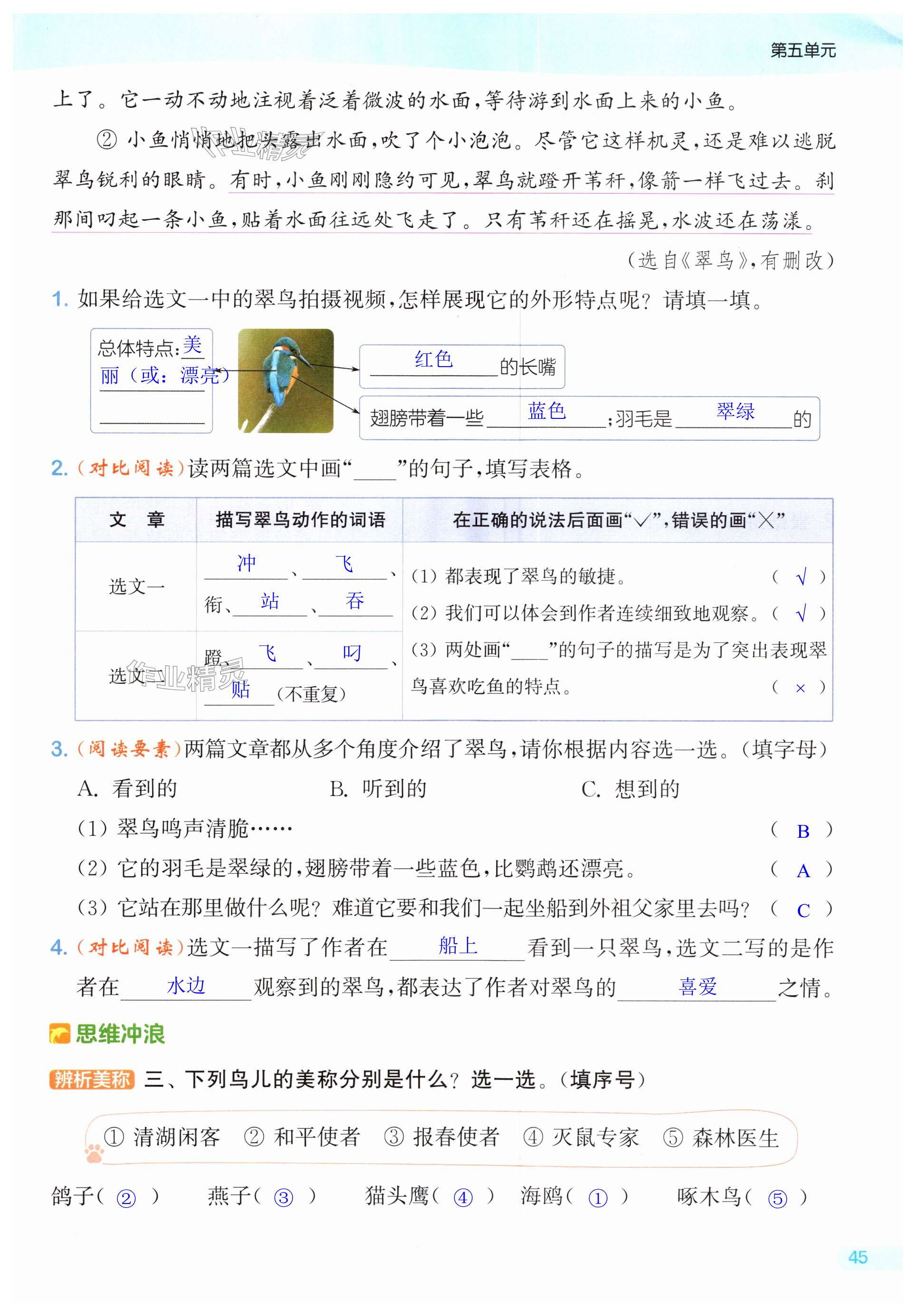 第45页