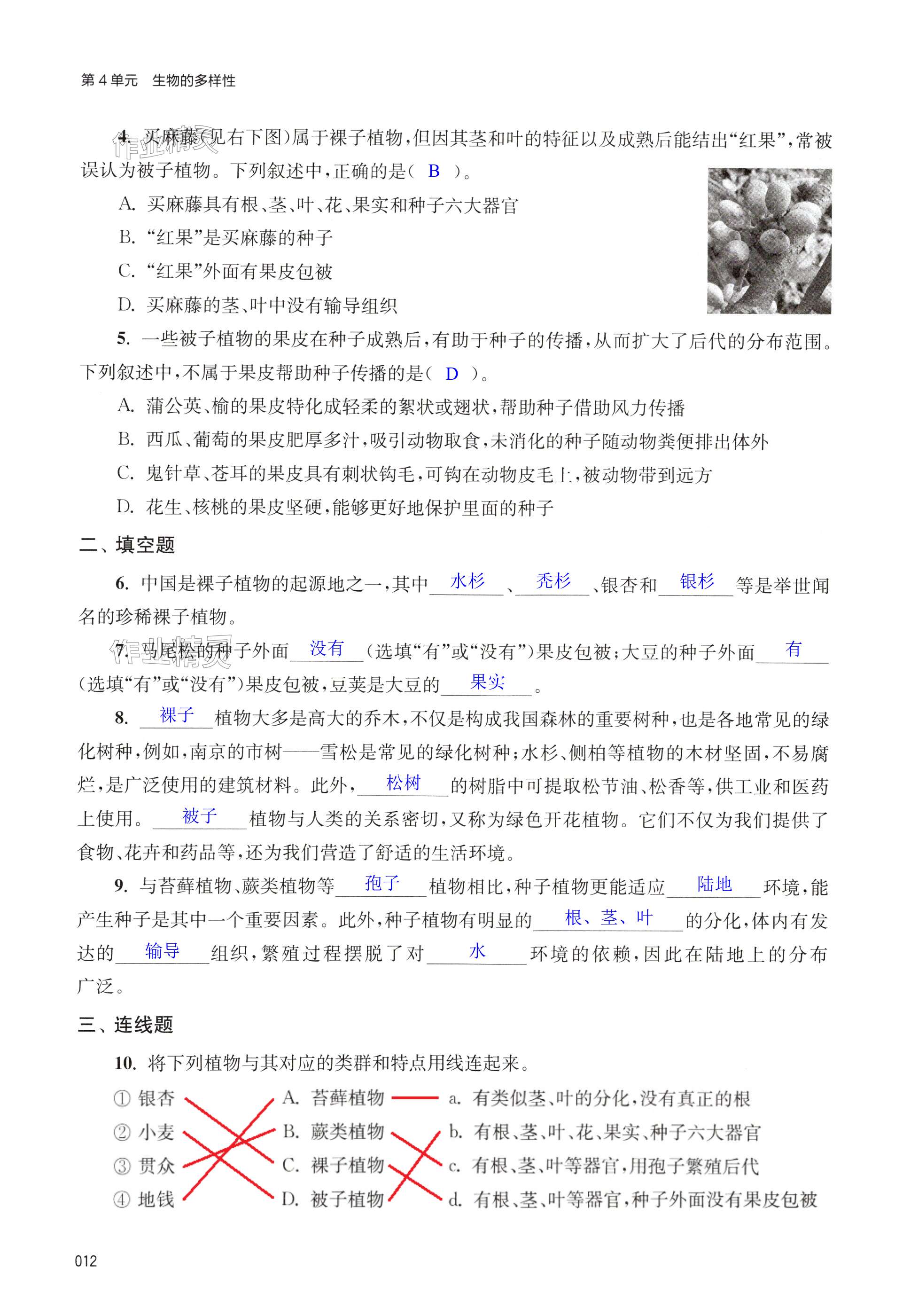 第12页