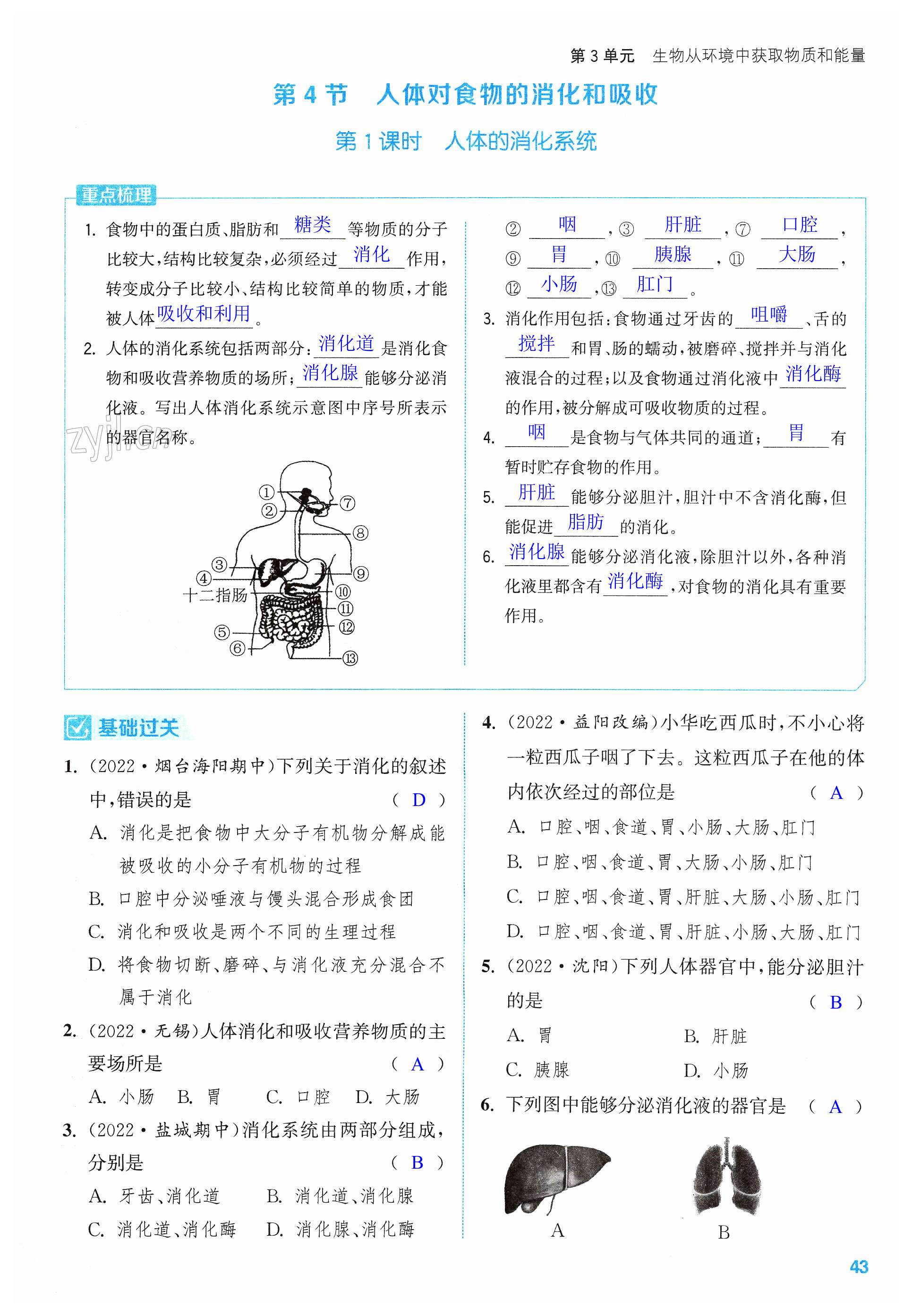 第43页