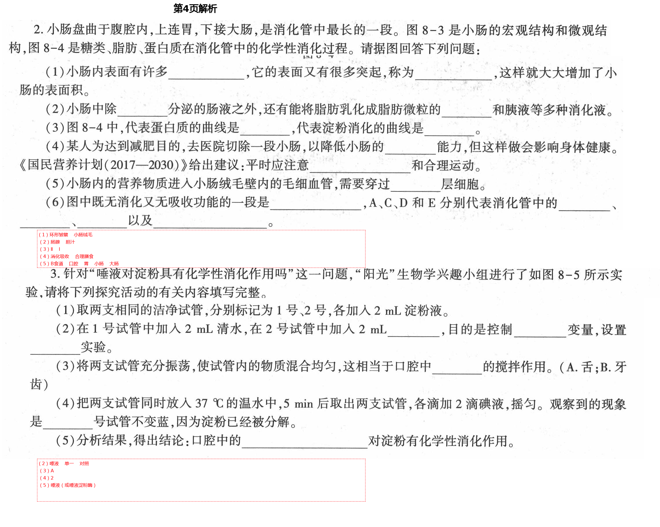 2021年基礎(chǔ)訓(xùn)練七年級(jí)生物學(xué)下冊(cè)北師大版大象出版社 第4頁(yè)