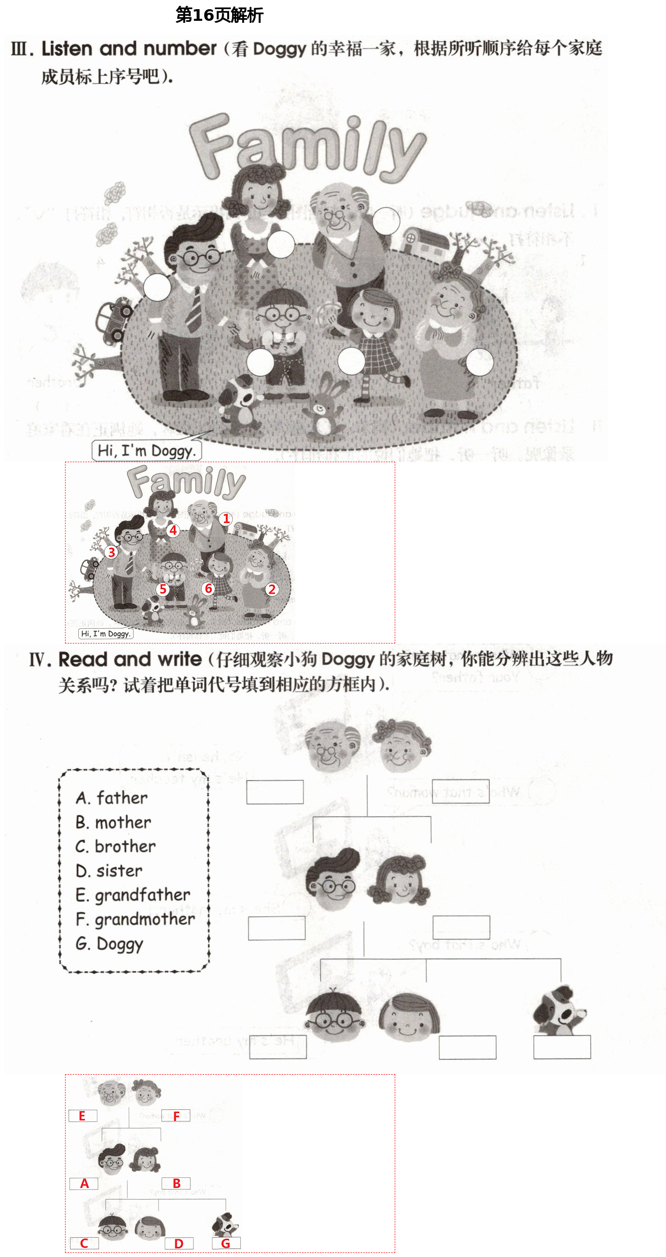 2021年自主学习指导课程三年级英语下册人教版 第16页