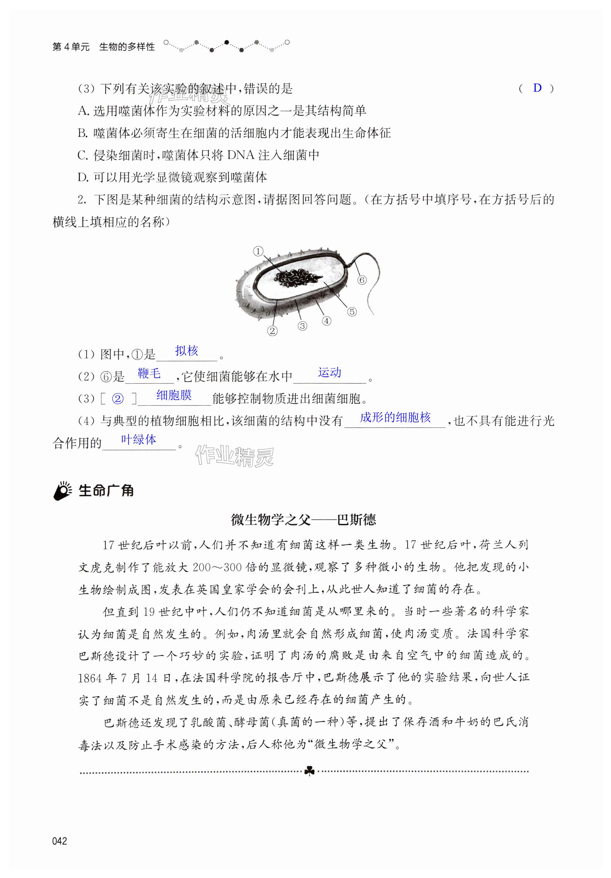 第42页