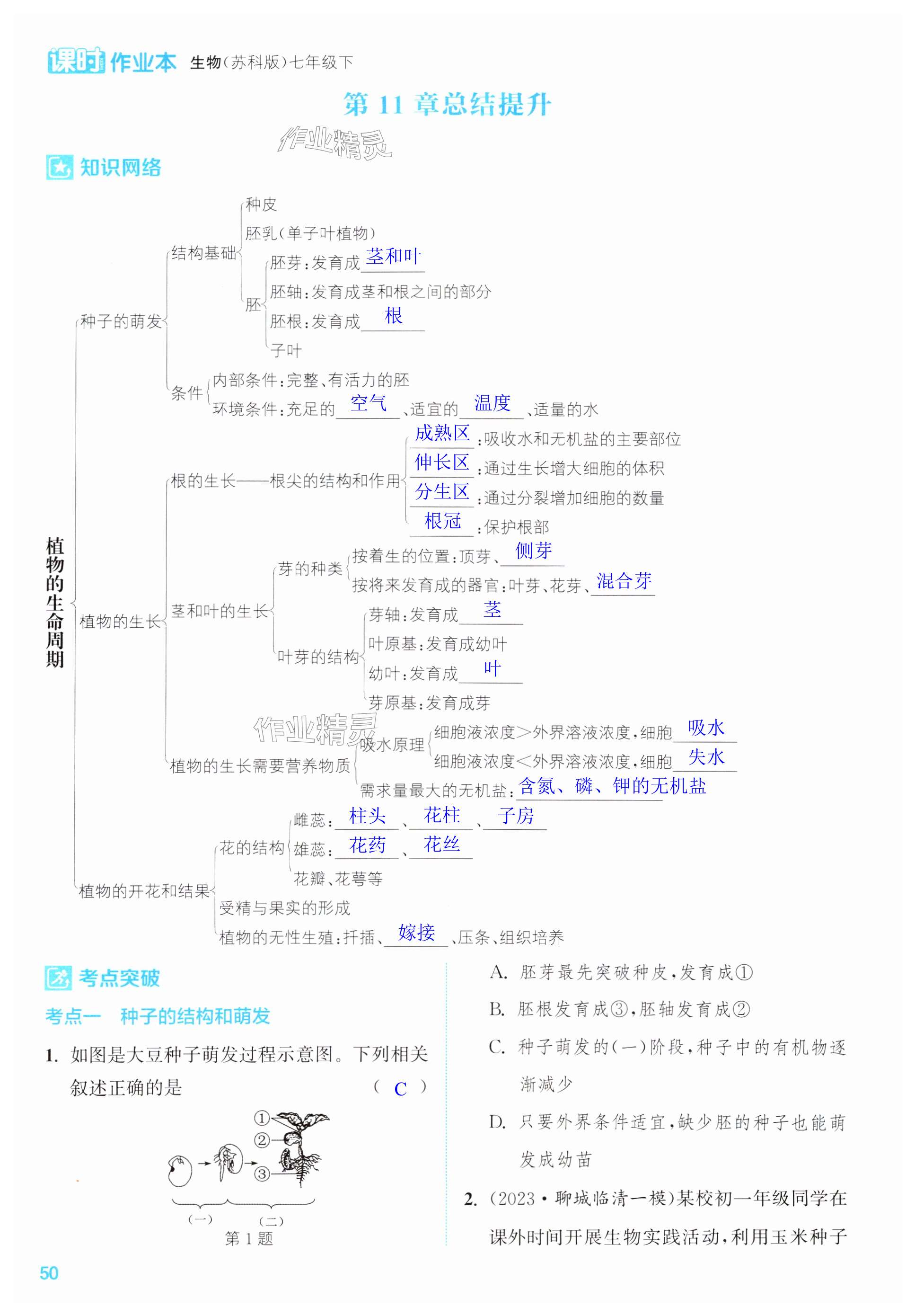 第50页