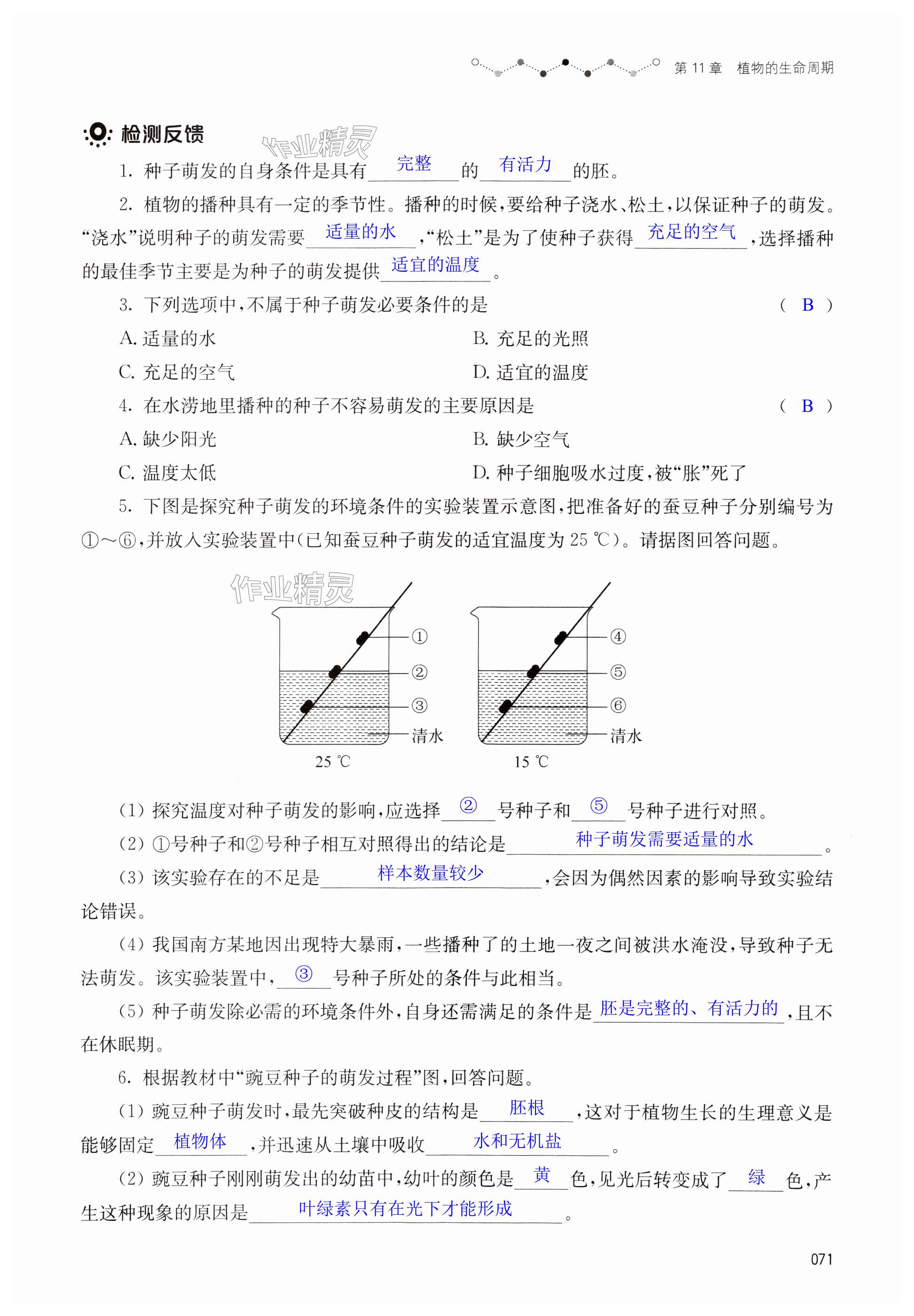 第71页
