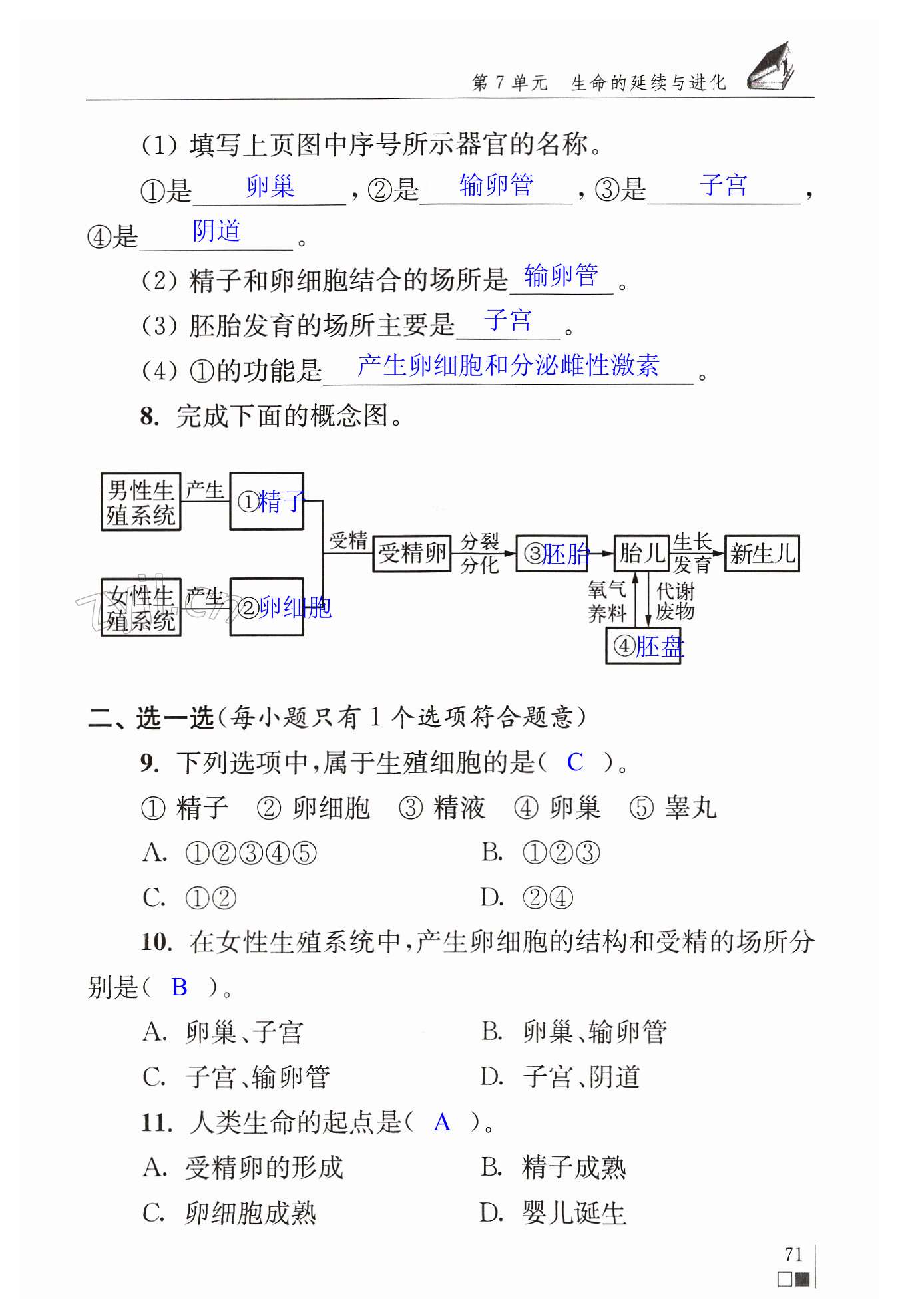 第71页