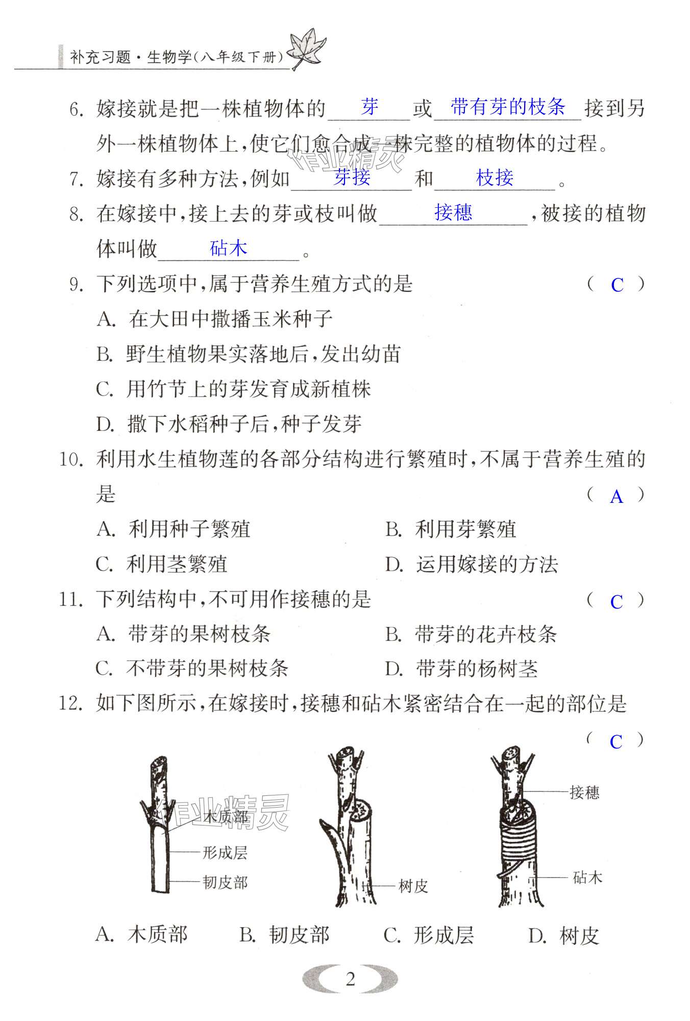 第2页