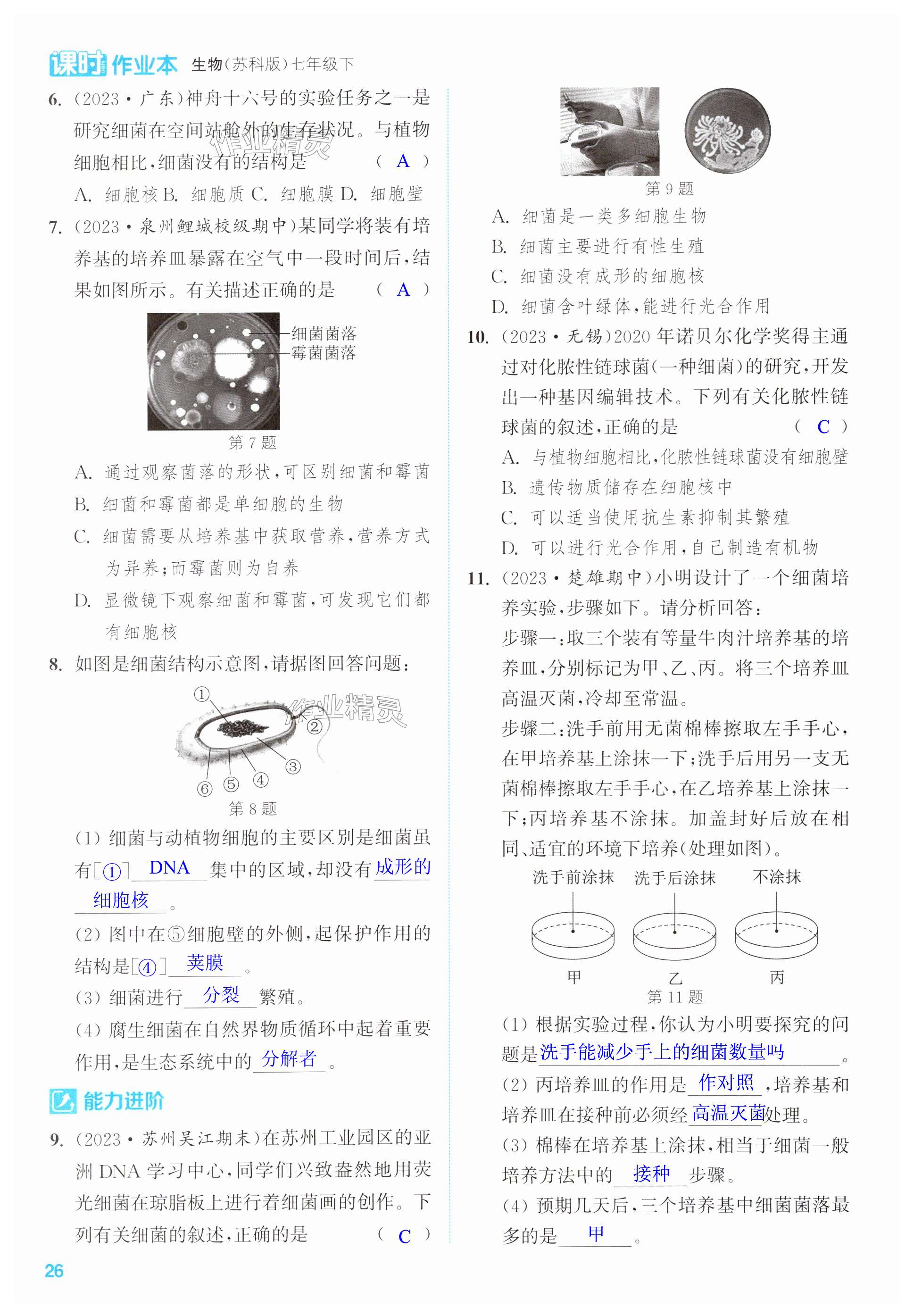 第26页