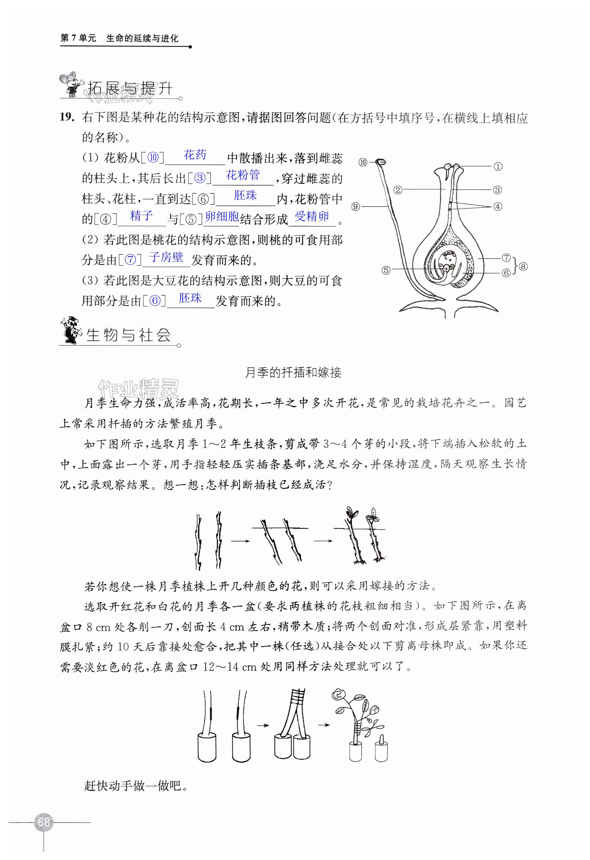 第68页