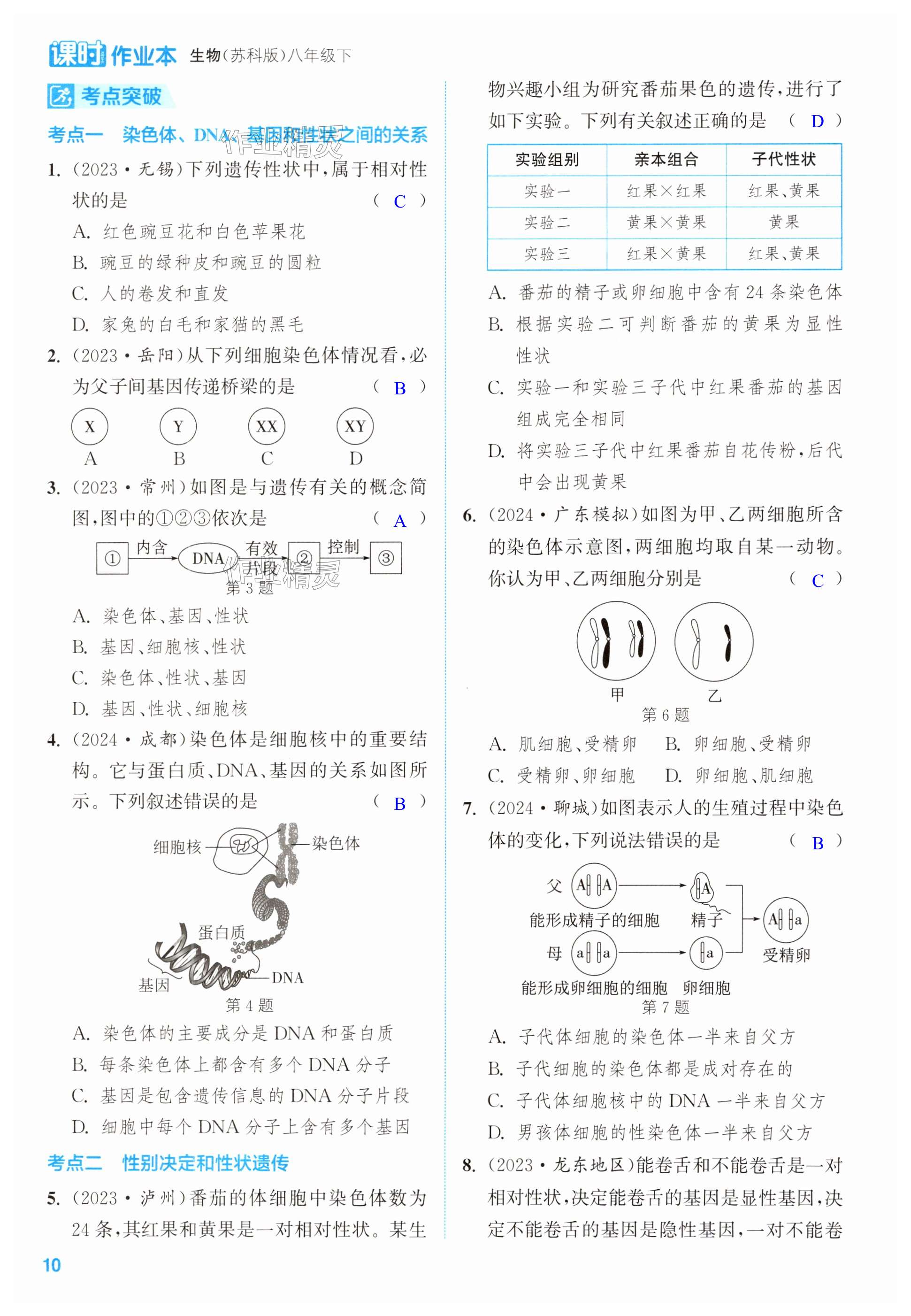 第10页