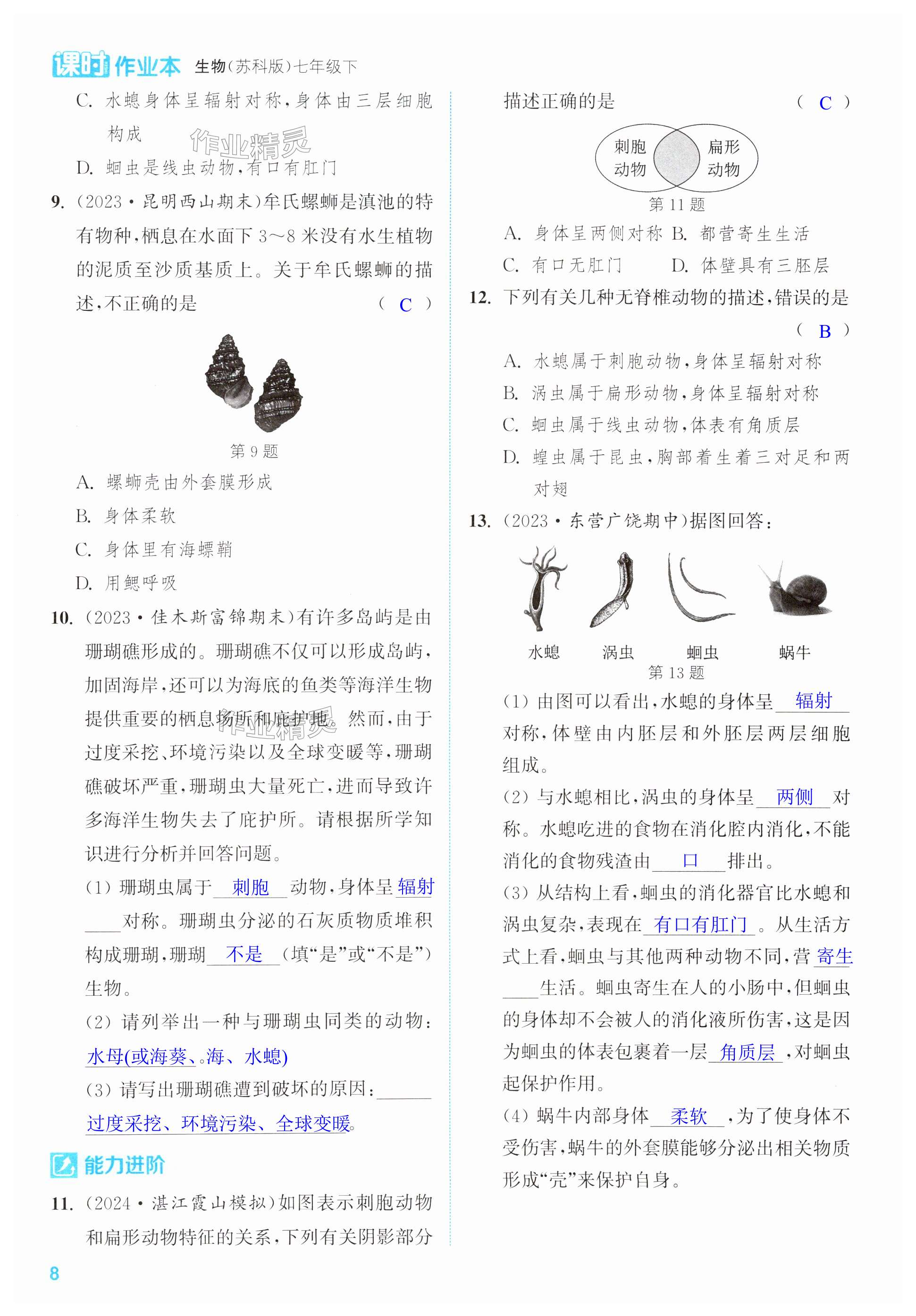 第8页