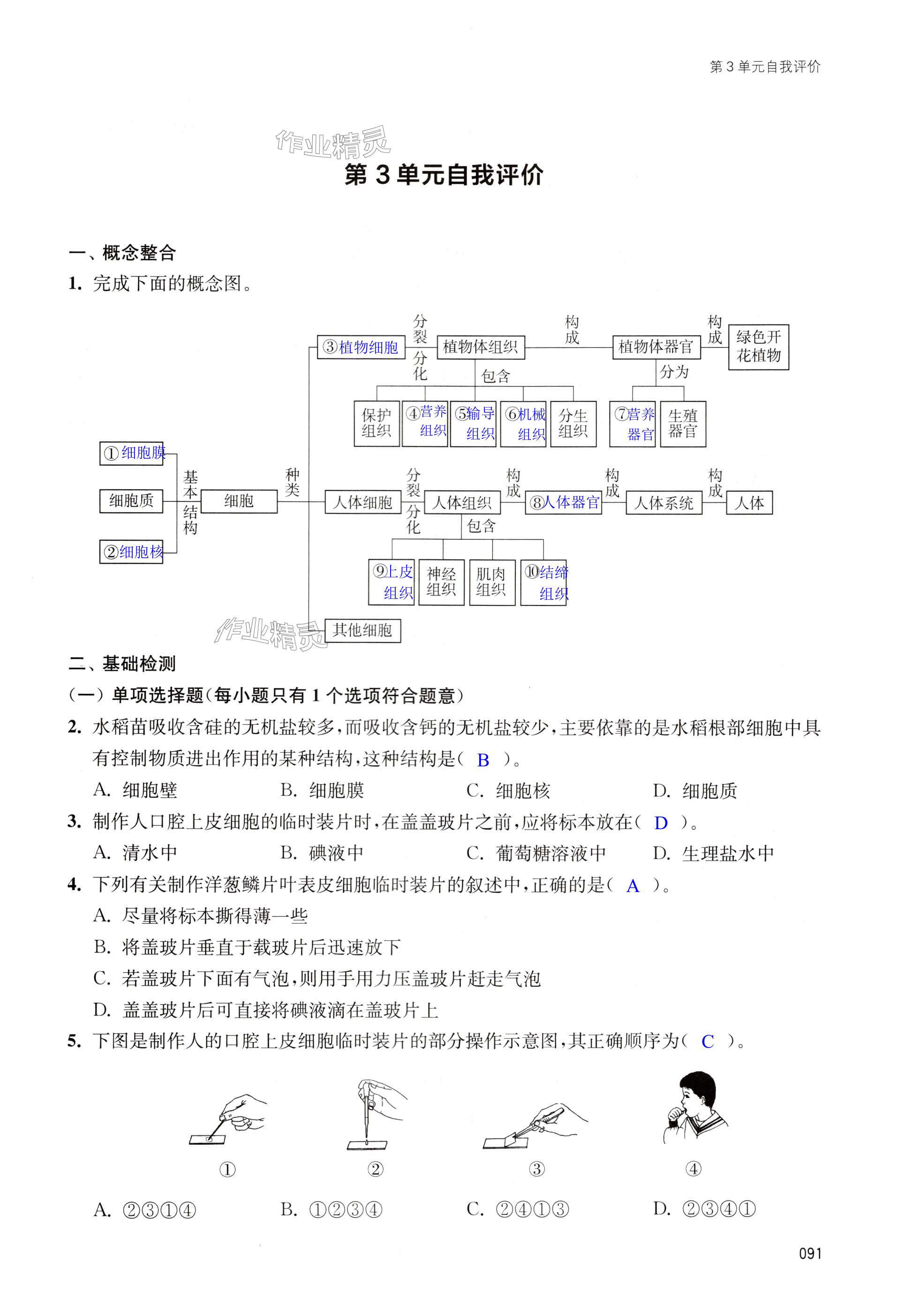 第91页